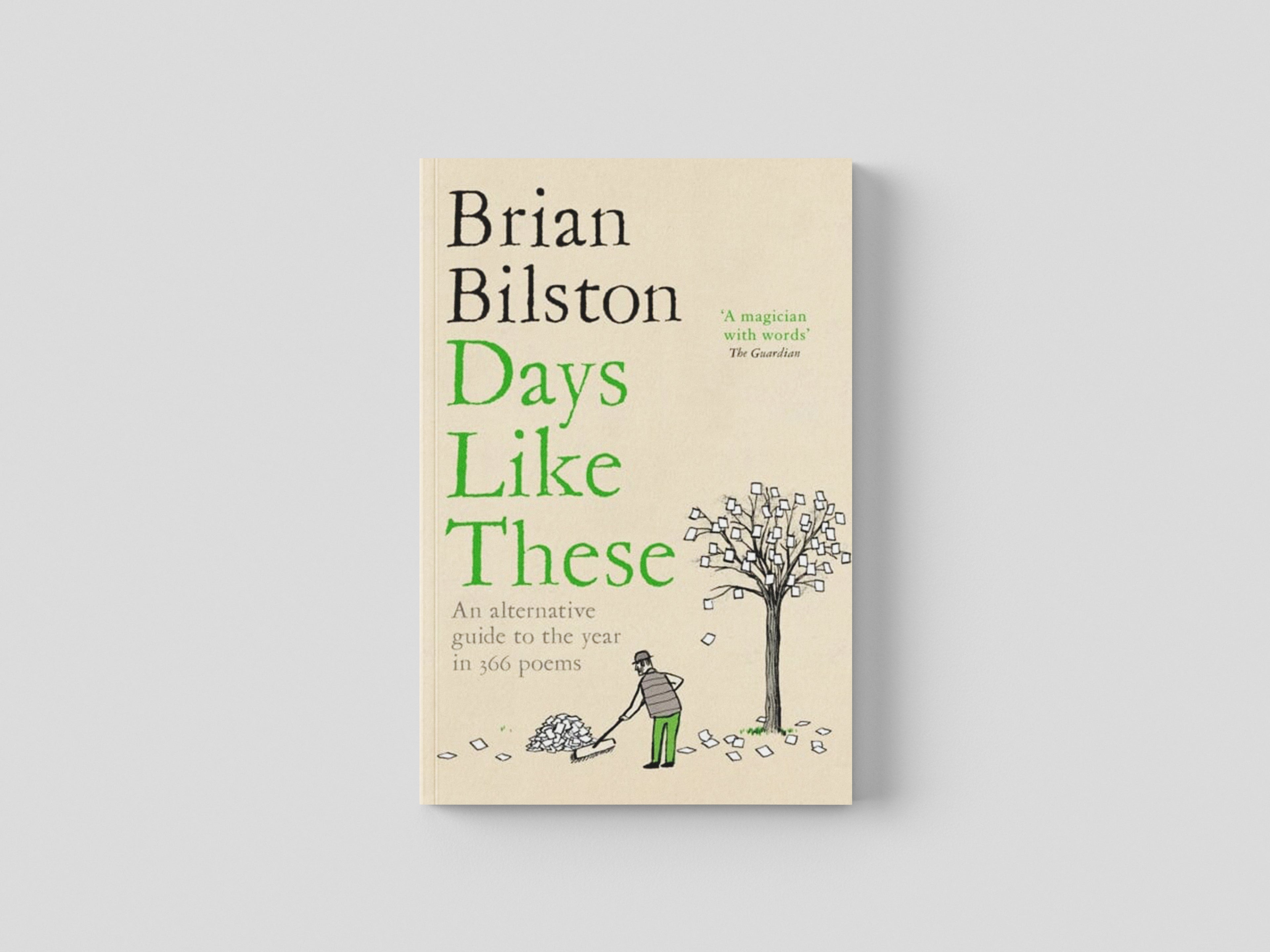 Days Like These by Brian Bilston; 9781035001668
