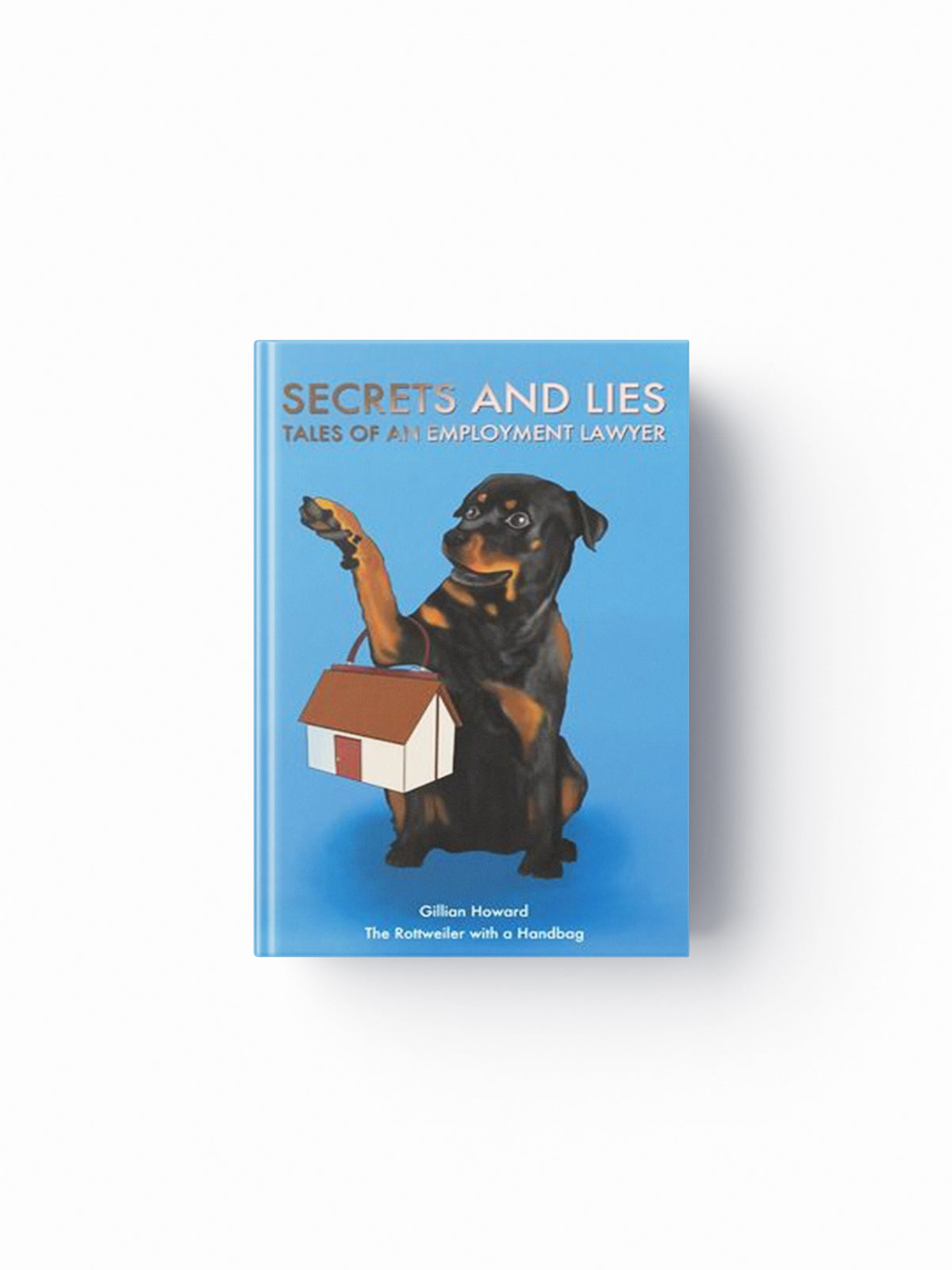 Secrets and Lies – Tales of an Employment Lawyer by Gillian Howard; 9781035805662