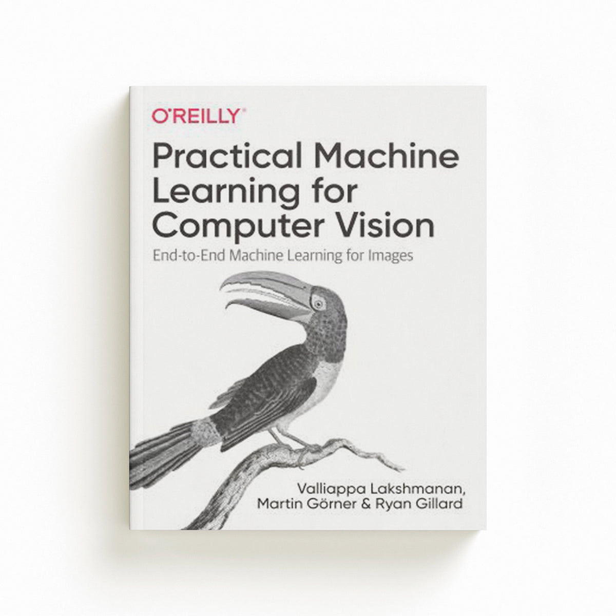 Practical Machine Learning for Computer Vision by Martin Goerner; Valliappa Lakshmanan; Ryan Gillard; 9781098102364