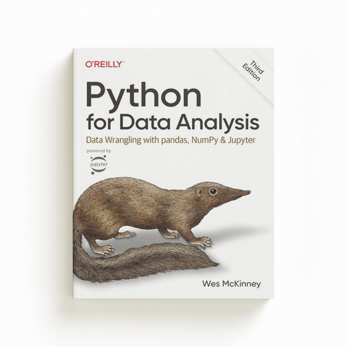 Python for Data Analysis 3e by Wes McKinney; 9781098104030