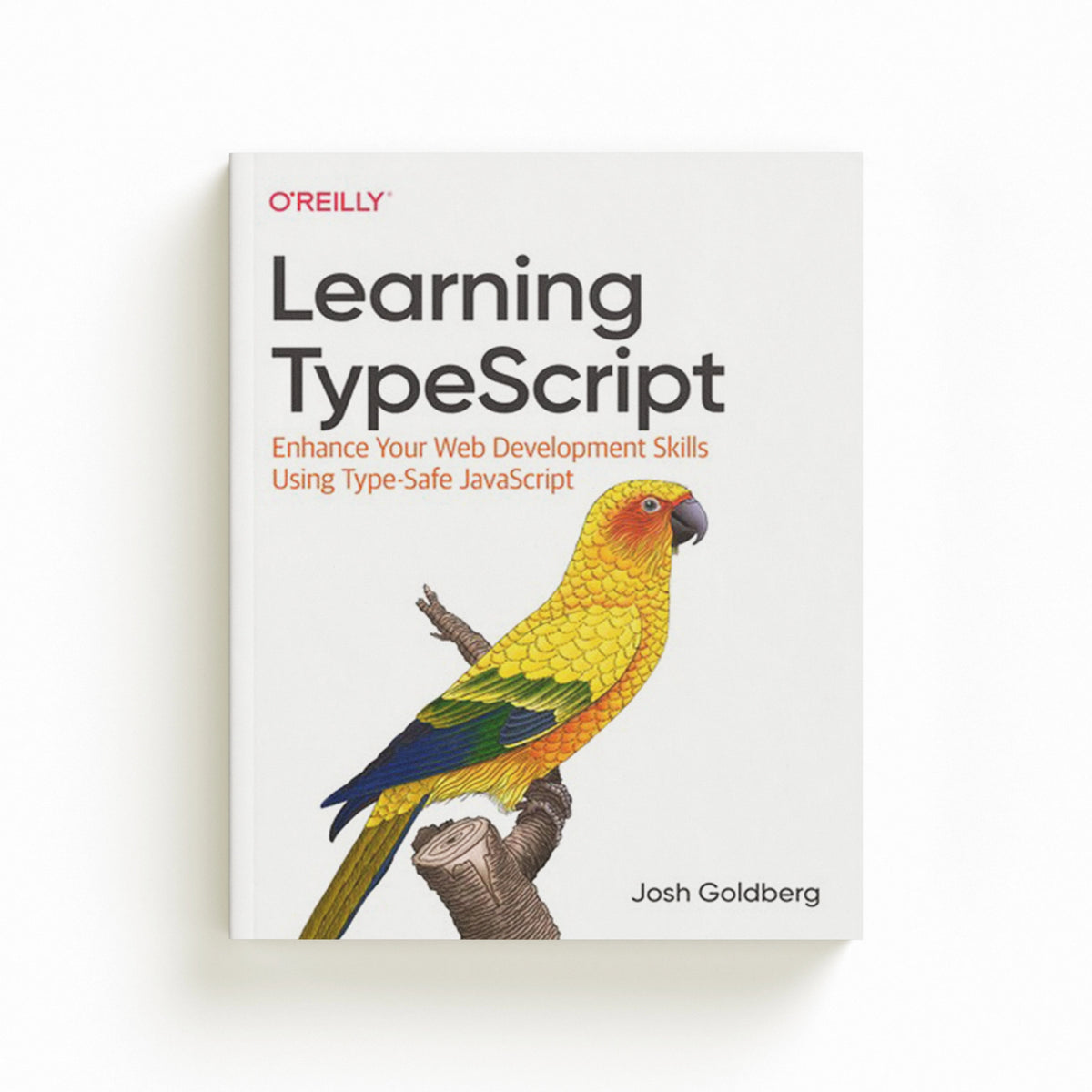 Learning Typescript by Josh Goldberg; 9781098110338