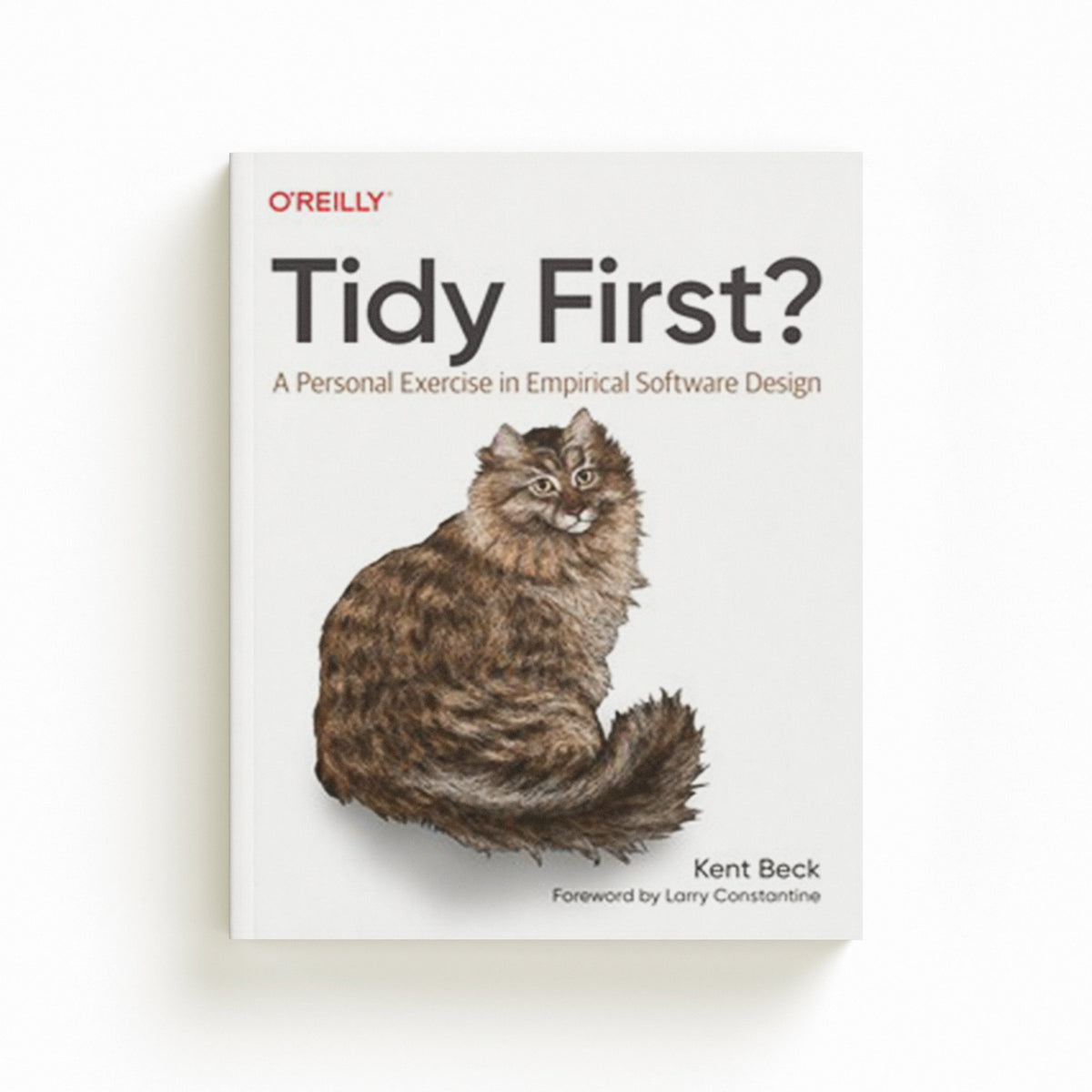 Tidy First? by Kent Beck; 9781098151249
