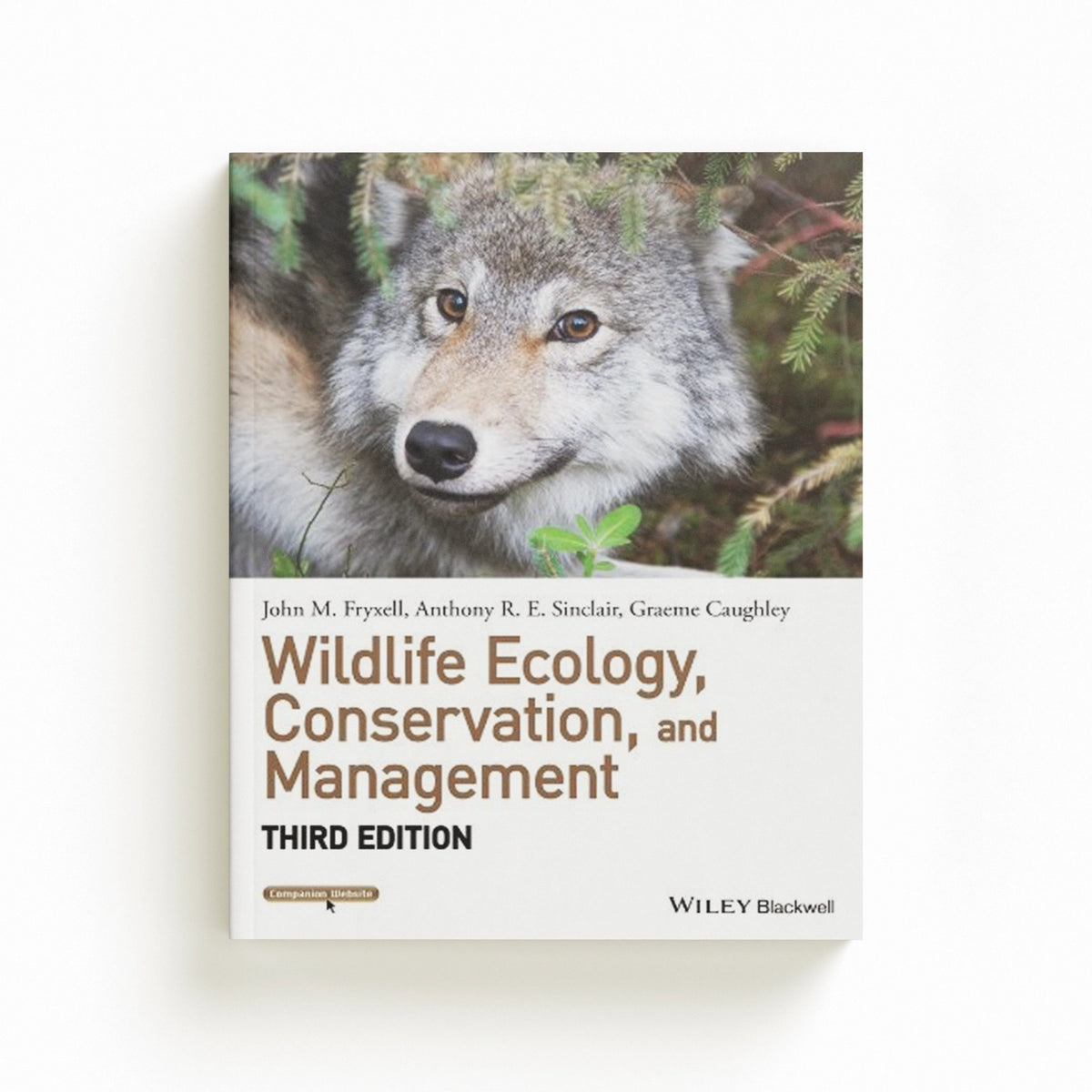 Wildlife Ecology, Conservation, and Management by Anthony R. E.  Sinclair; John M.  Fryxell; Graeme  Caughley; 9781118291078