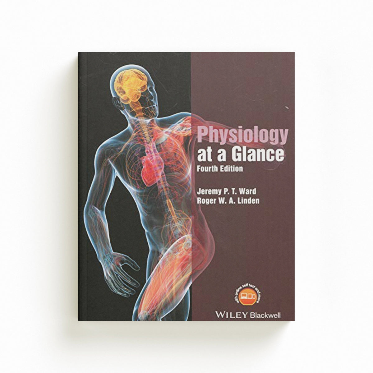 Physiology at a Glance by Jeremy P. T.  Ward; Roger W. A.  Linden; 9781119247272