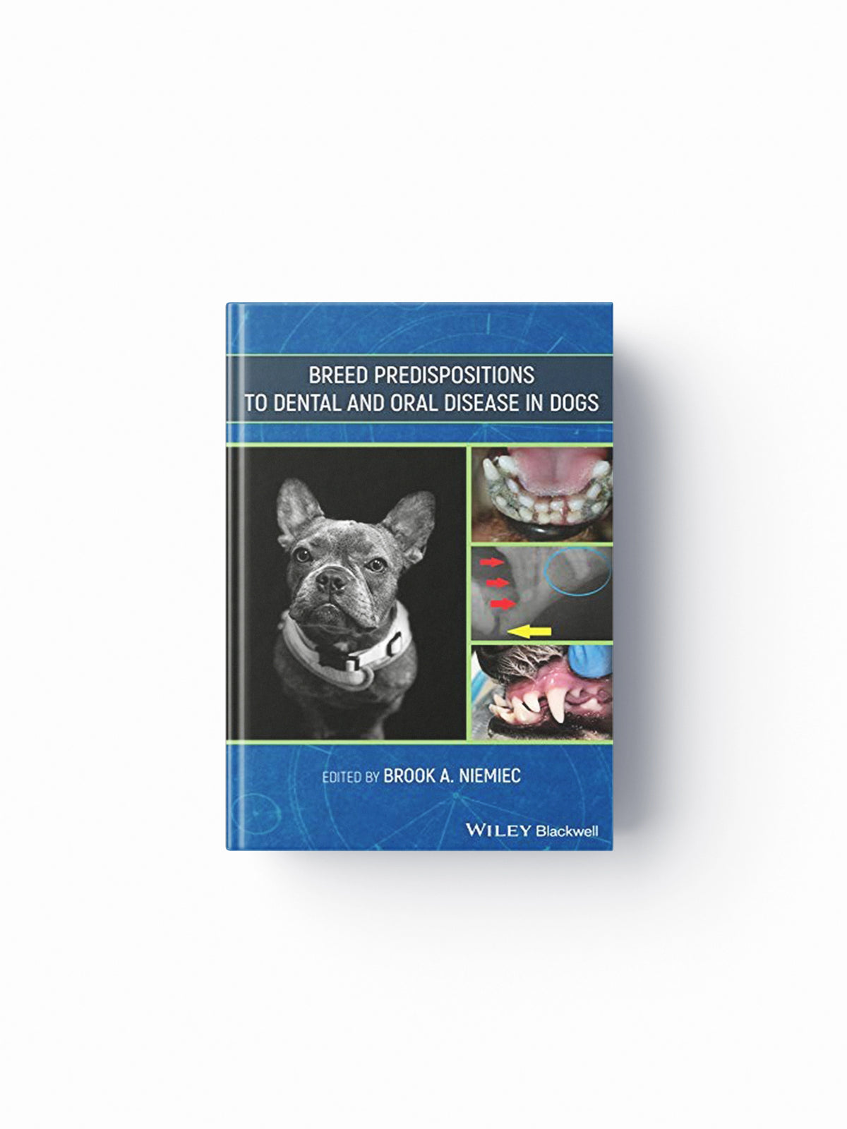 Breed Predispositions to Dental and Oral Disease in Dogs; 9781119552116