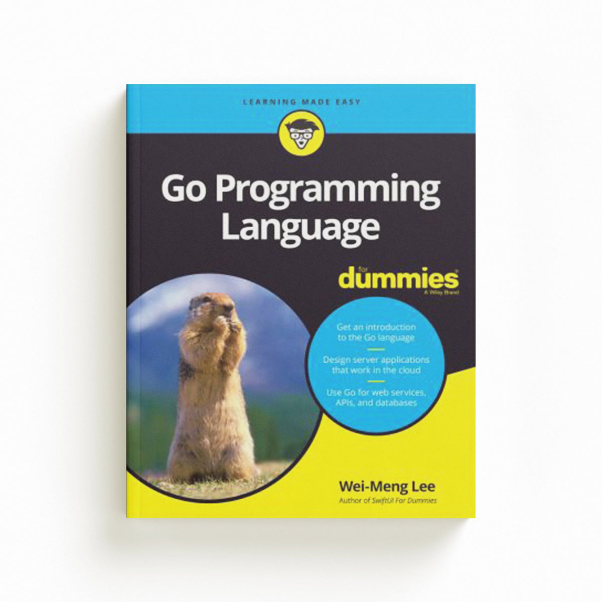 Go Programming Language For Dummies by Wei-Meng Lee; 9781119786191