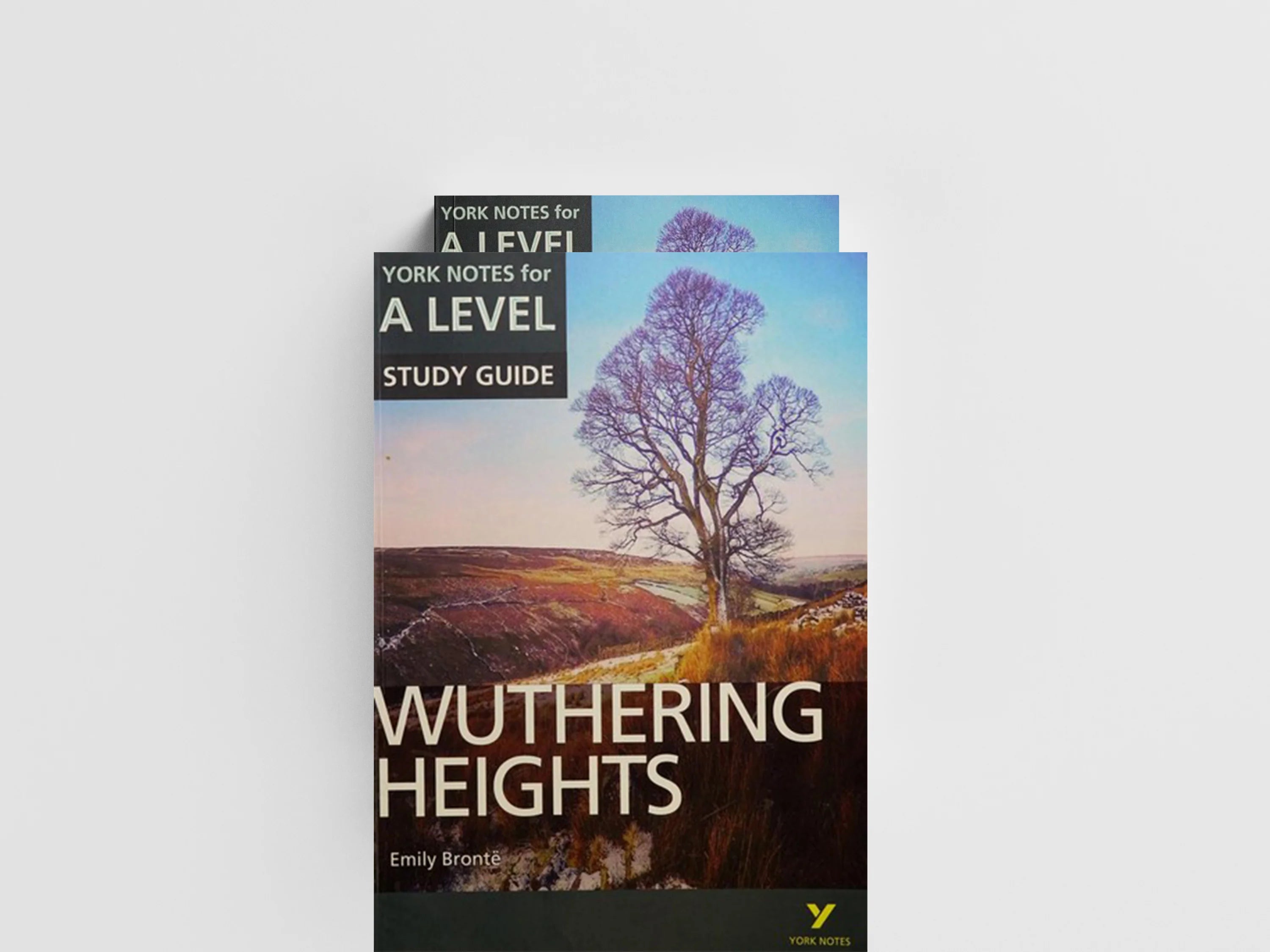 Wuthering Heights: York Notes for A-level - for 2026, 2027 exams by Claire Steele; 9781292138190