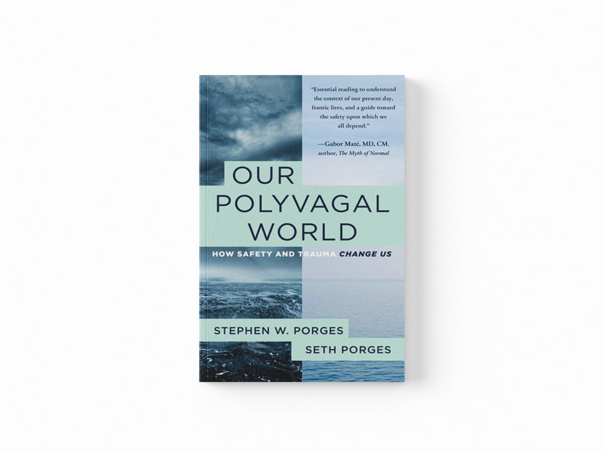 Our Polyvagal World by Stephen W. (University of North Carolina) Porges; Seth Porges; 9781324030256