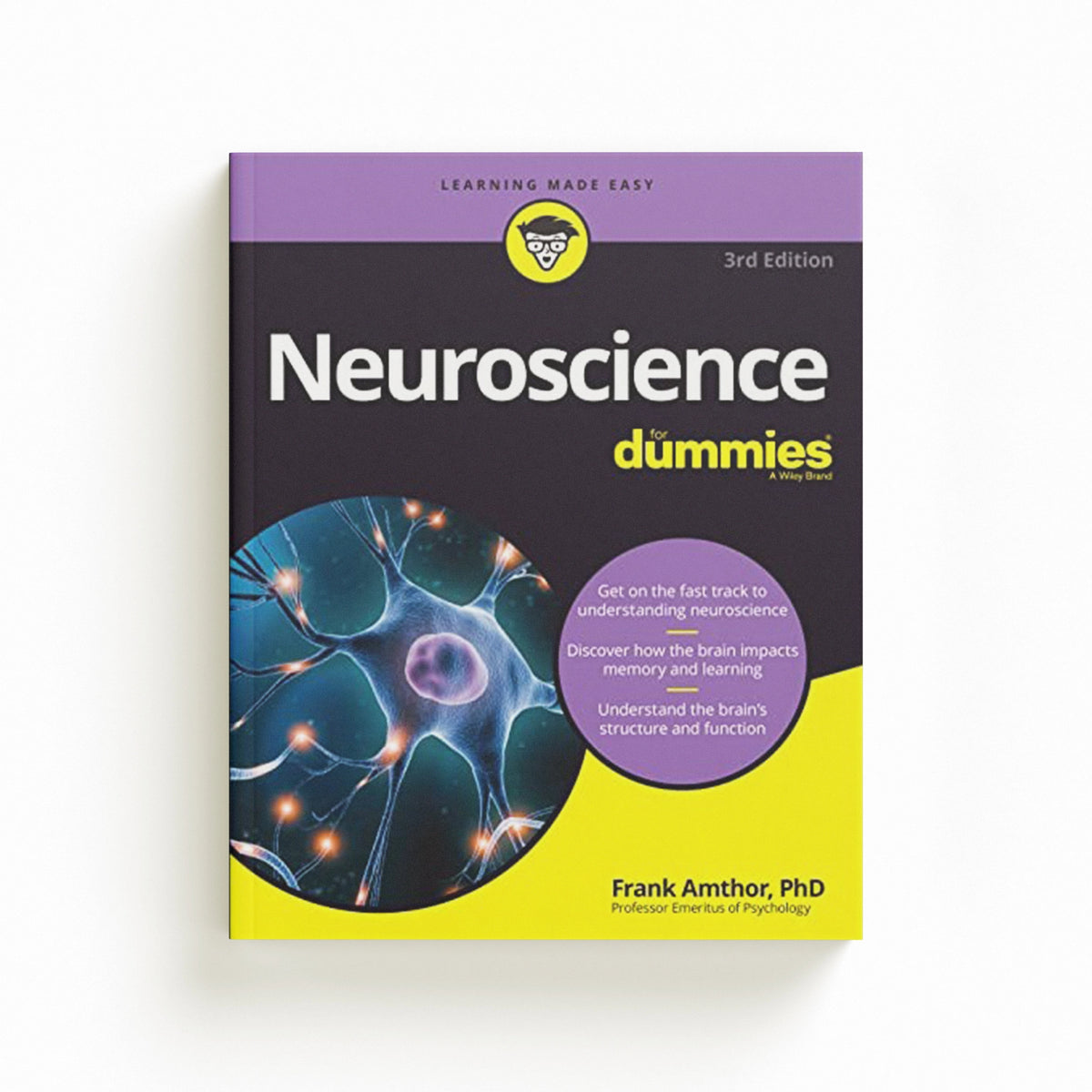 Neuroscience For Dummies by Frank  Amthor; 9781394171217
