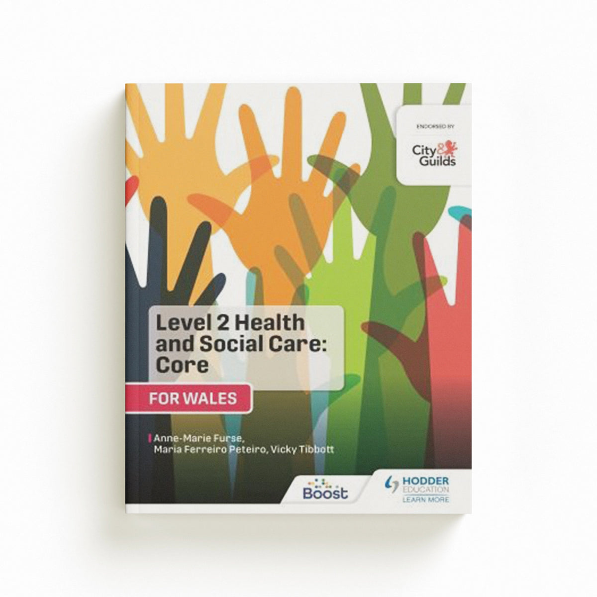Level 2 Health and Social Care: Core (for Wales) by Anne-Marie Furse; Vicky Tibbott; Maria Ferreiro Peteiro; 9781398334403