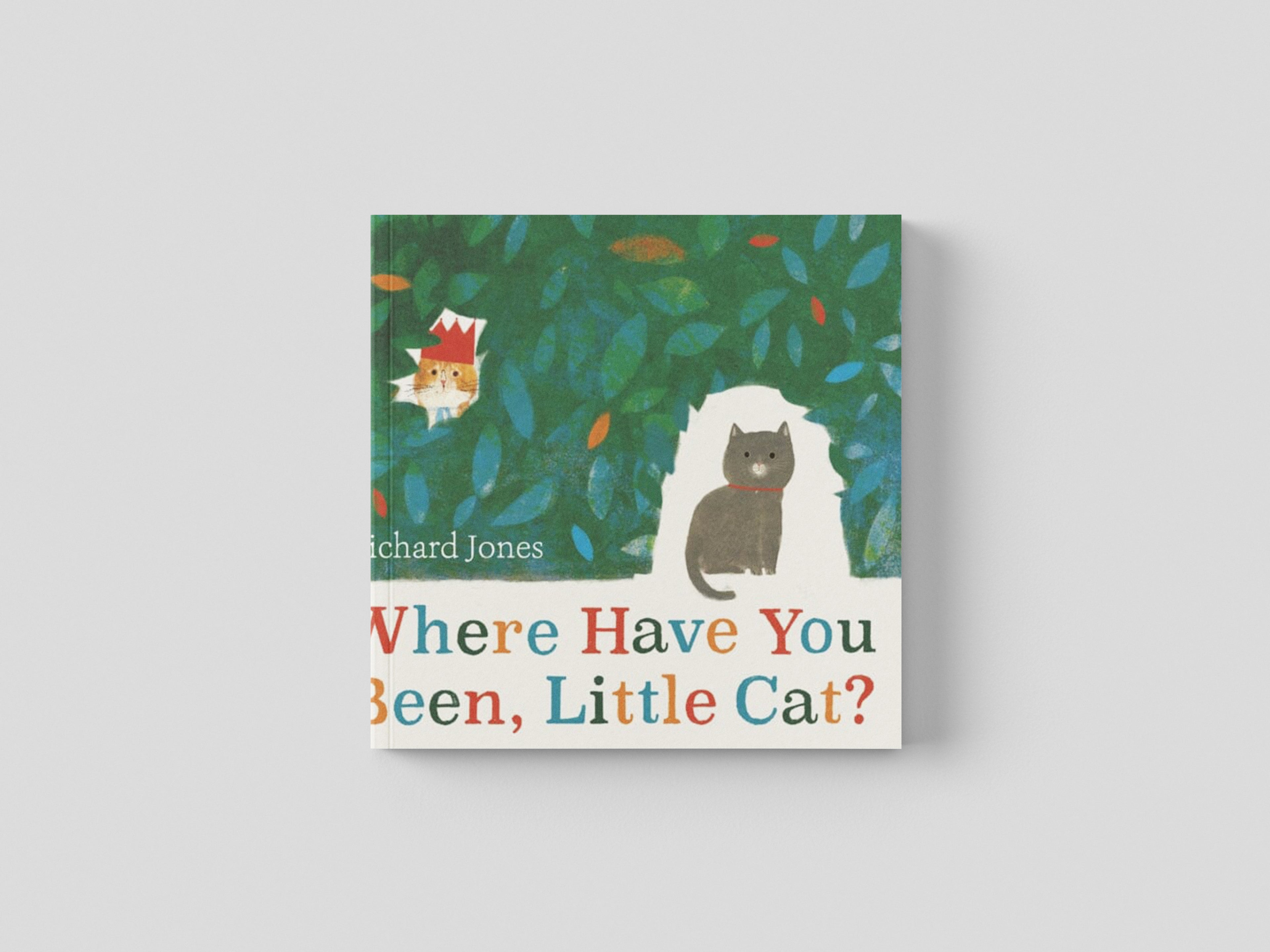 Where Have You Been, Little Cat? by Richard Jones; 9781398502512