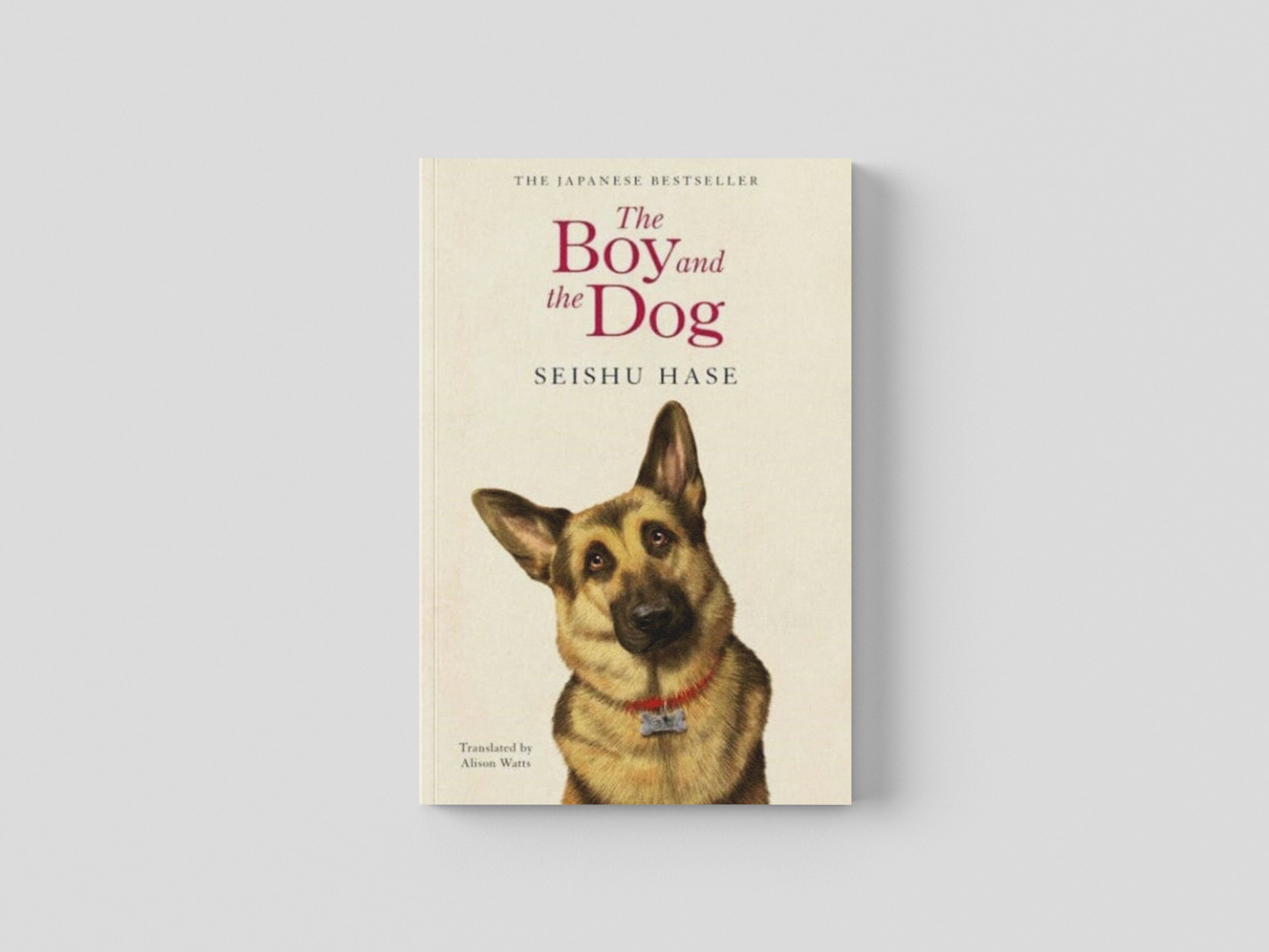 The Boy and the Dog Paperback / softback