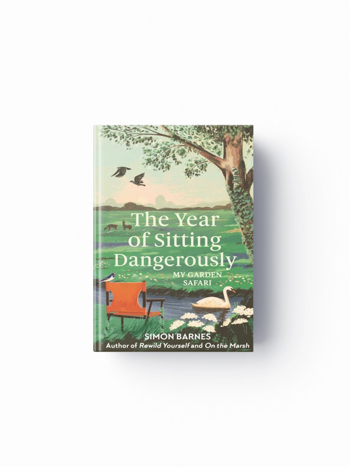 The Year of Sitting Dangerously