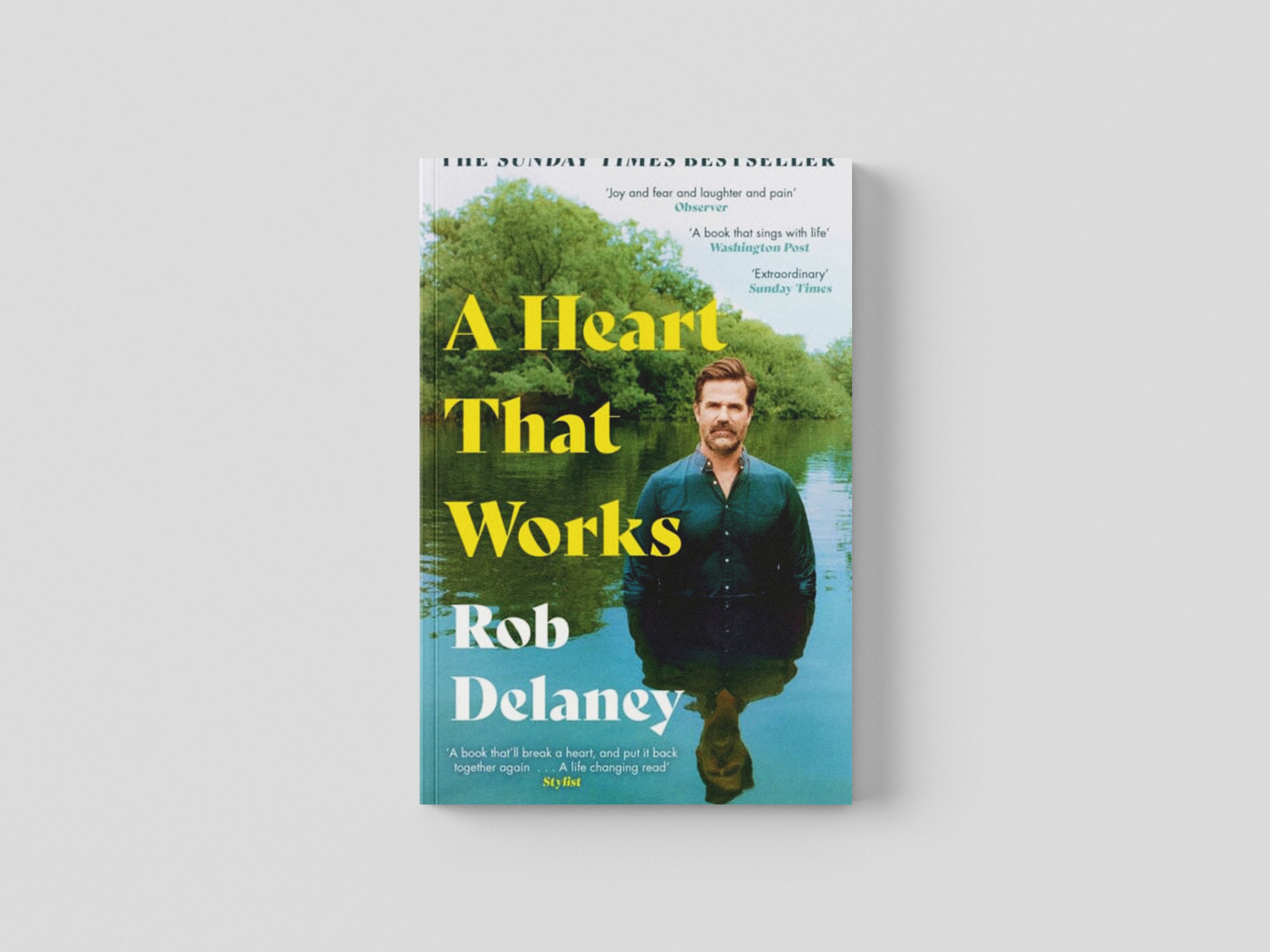 A Heart That Works by Rob Delaney; 9781399710886