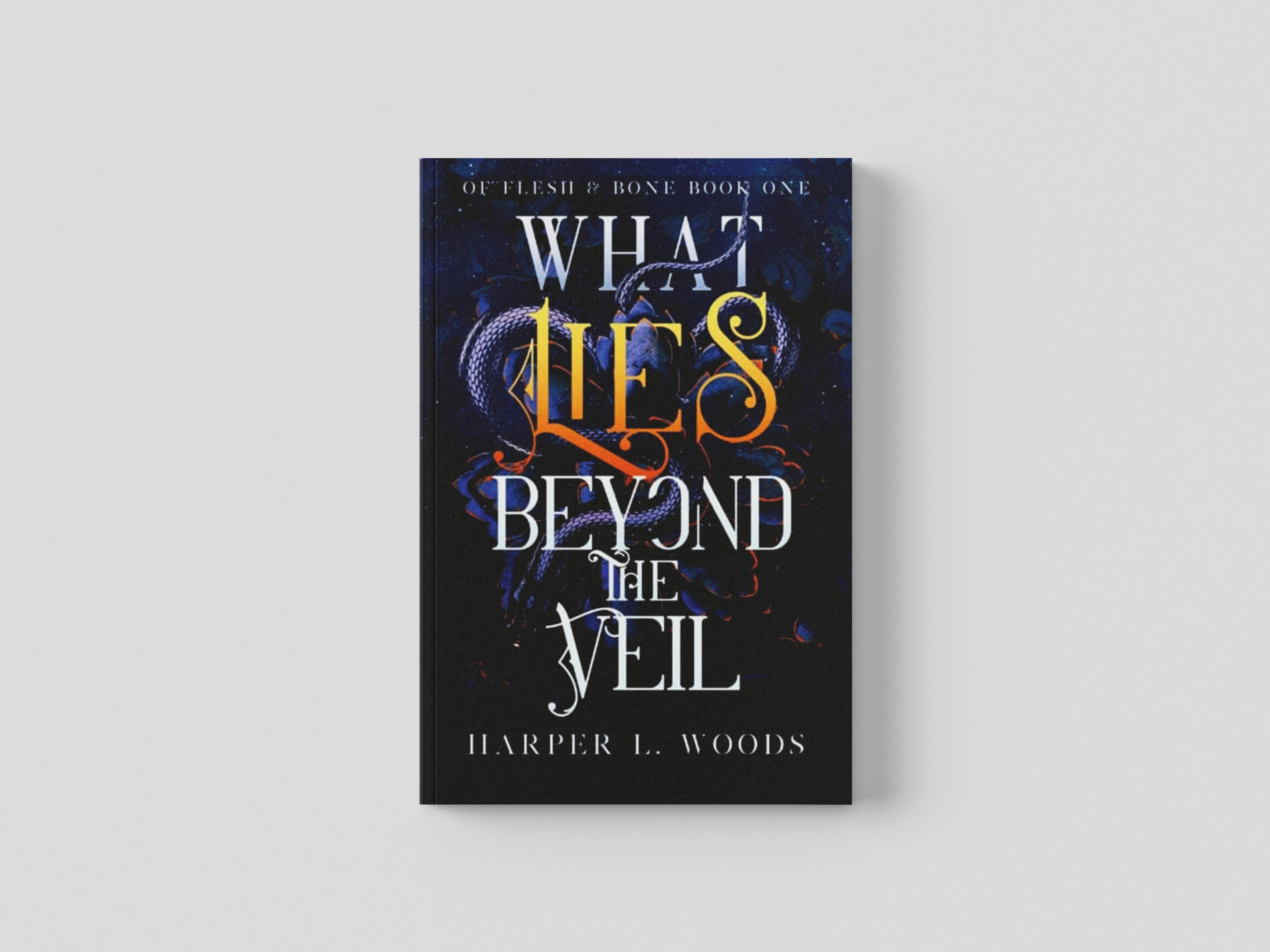 What Lies Beyond the Veil by Hodder & Stoughton; 9781399711685