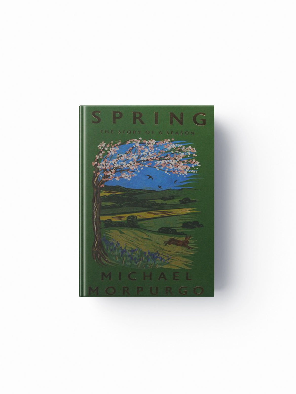 Spring by Michael Morpurgo; 9781399728843