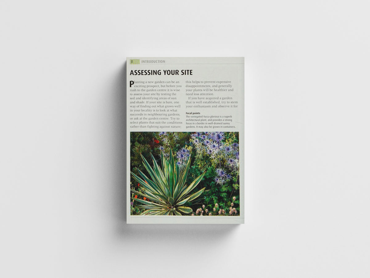 RHS What Plant When by DK; 9781405362979