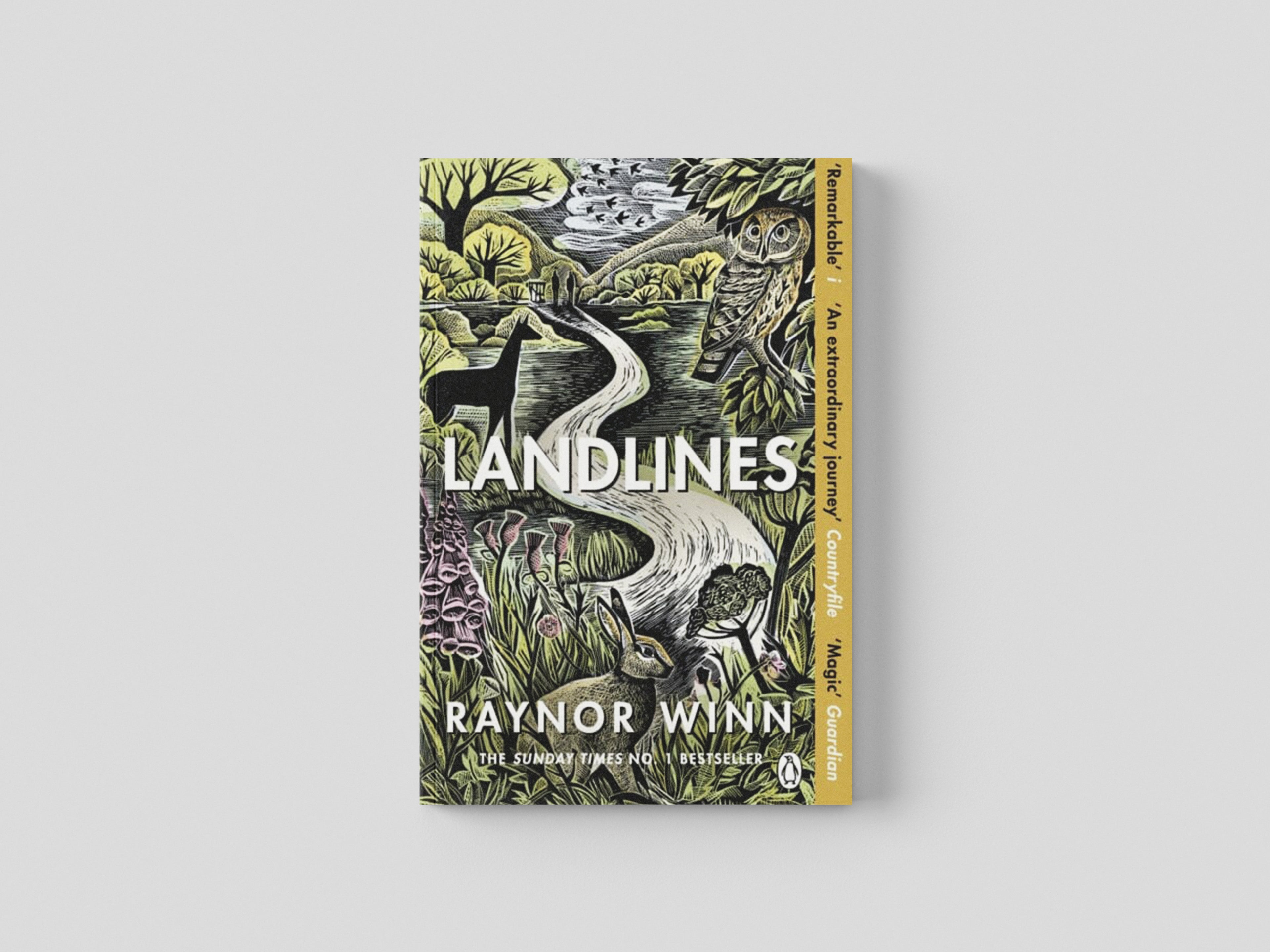 Landlines by Raynor Winn; 9781405947787