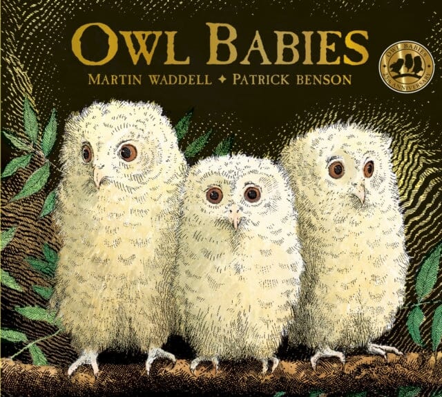 Owl Babies by Martin Waddell; 9781406374377