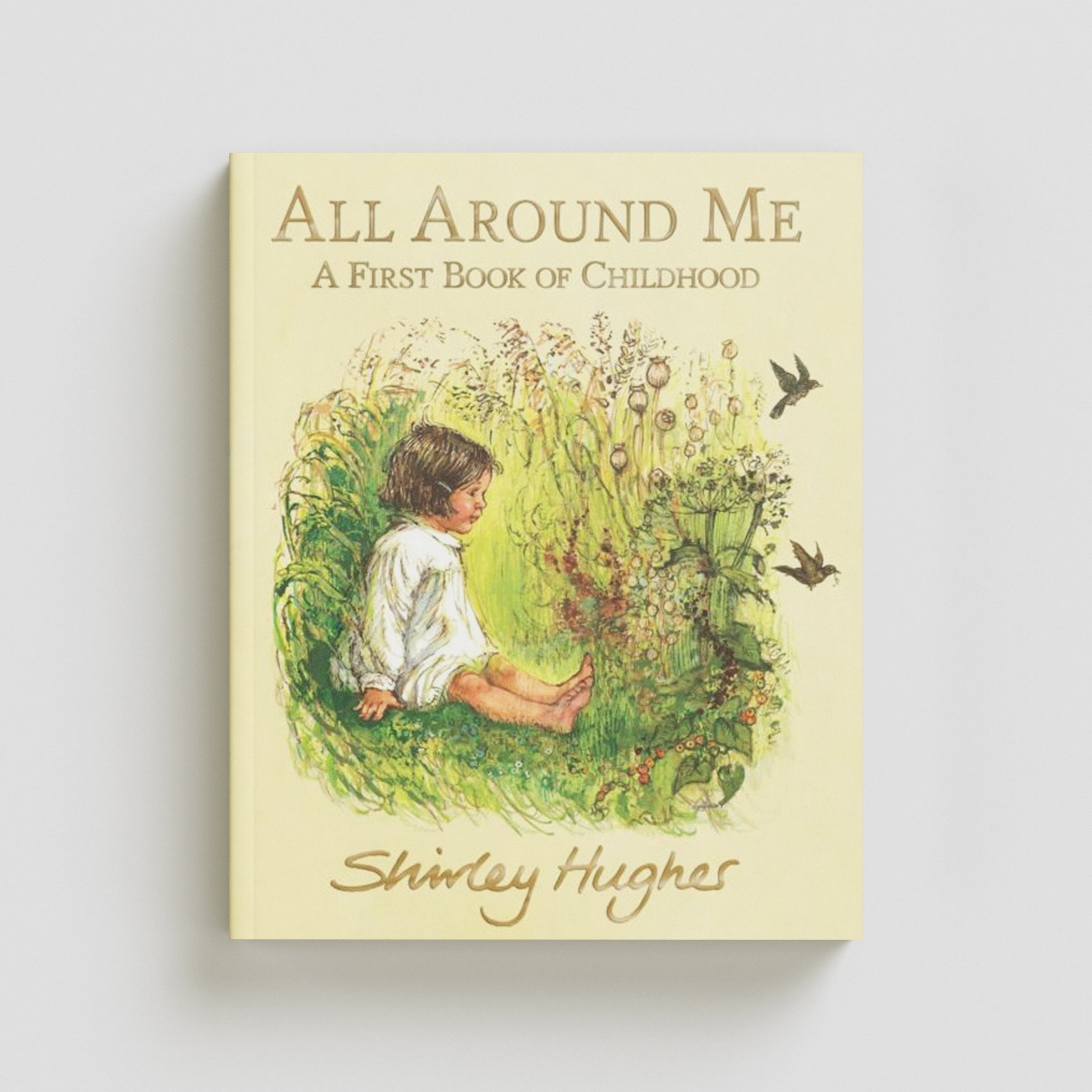 All Around Me; A First Book of Childhood by Shirley Hughes; 9781406390308