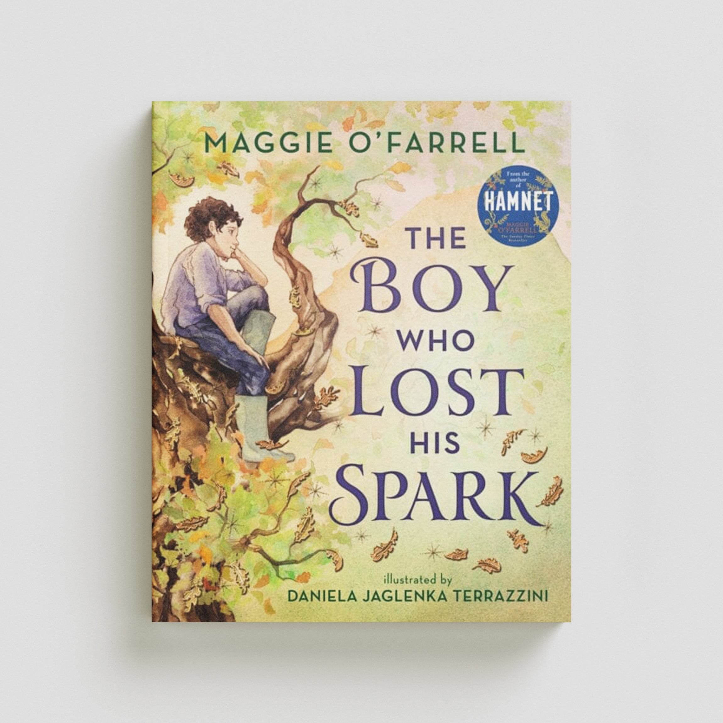 The Boy Who Lost His Spark by Walker Books Ltd; 9781406392012