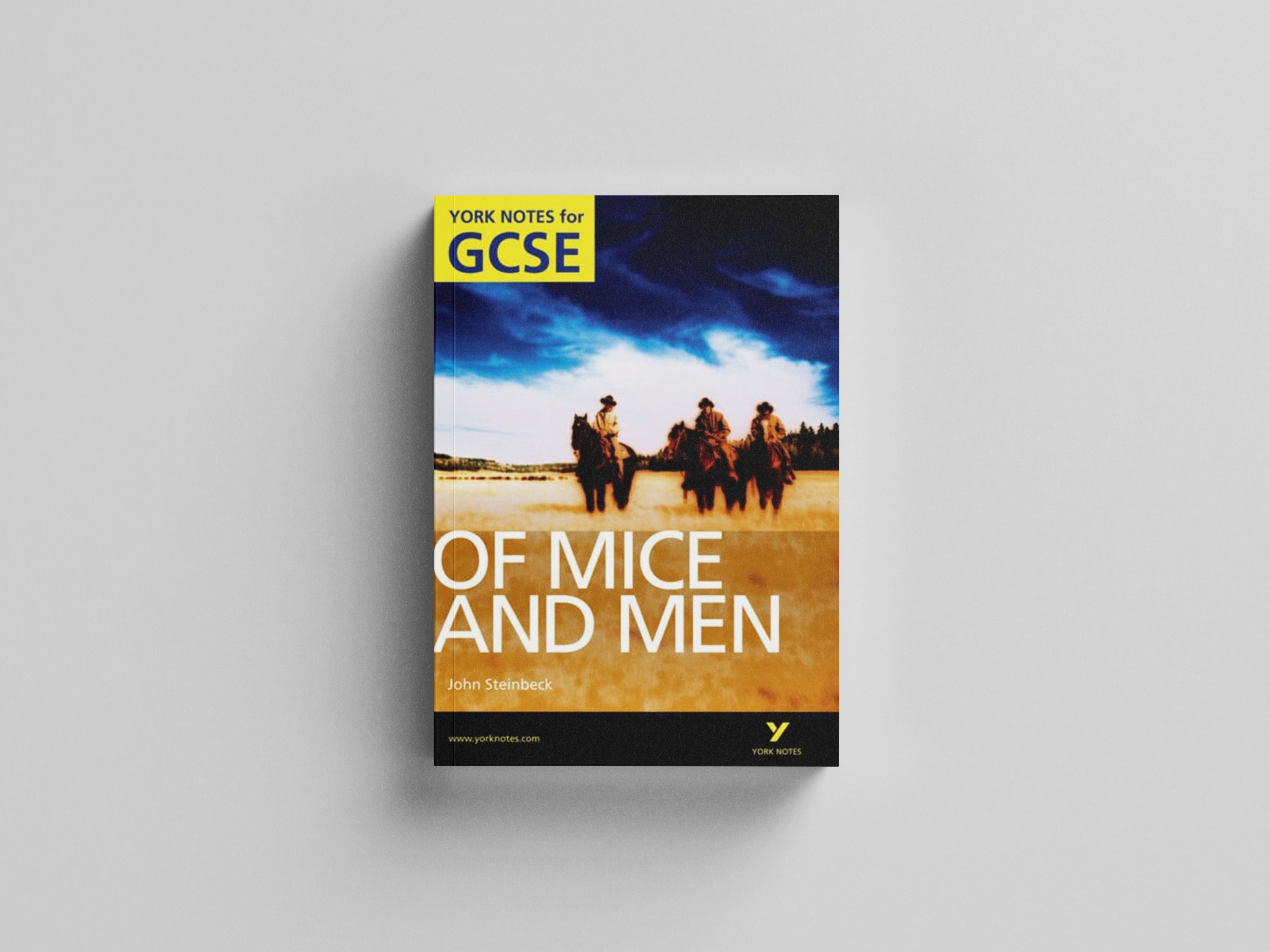 Of Mice and Men: York Notes GCSE (Grades A*-G) by Martin Stephen; 9781408248805