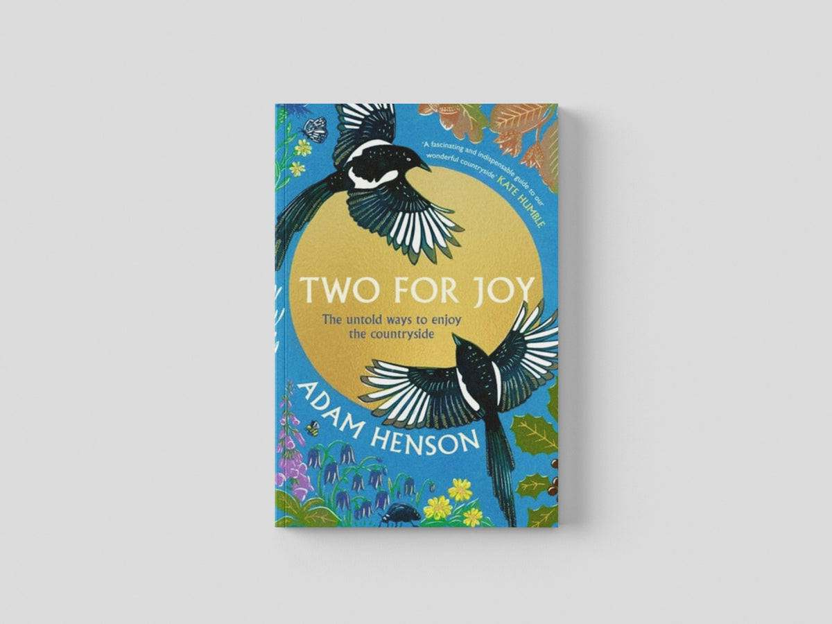 Two for Joy by Little, Brown Book Group; 9781408727362