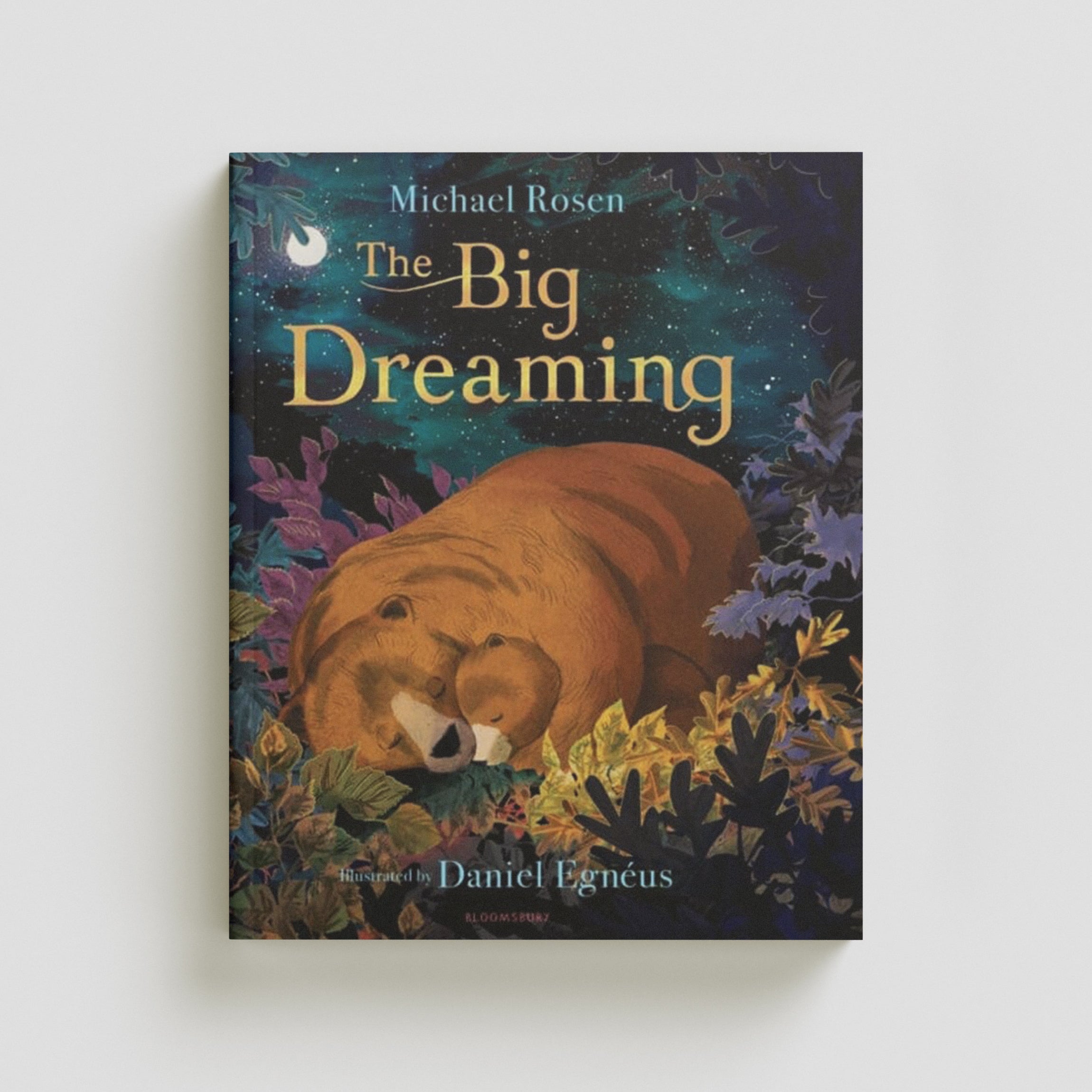 The Big Dreaming by Michael Rosen; 9781408883297