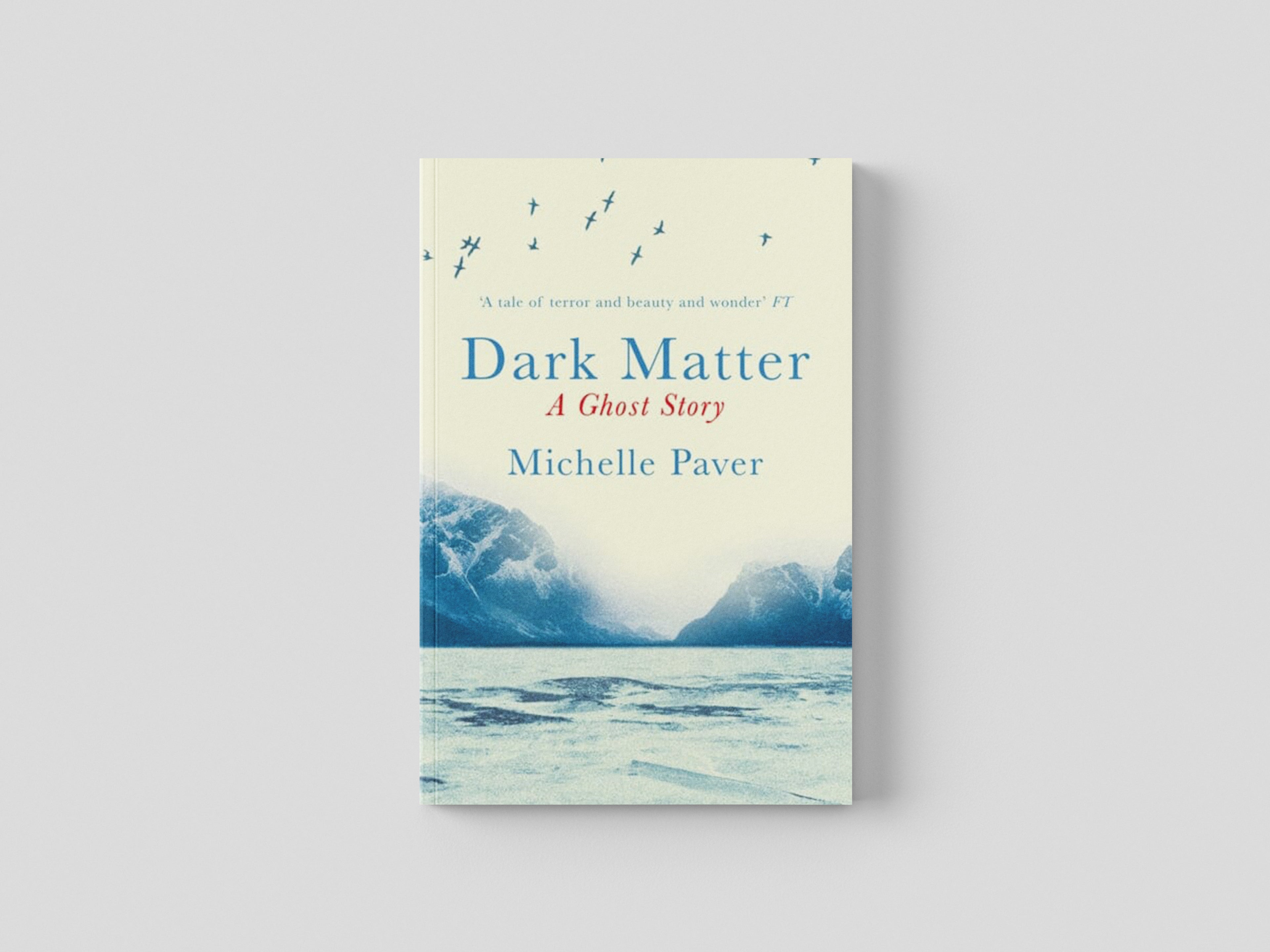 Dark Matter: the gripping ghost story from the author of WAKENHYRST by Michelle Paver; 9781409121183