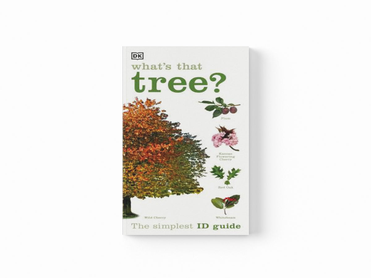 What's that Tree? by DK; 9781409366553