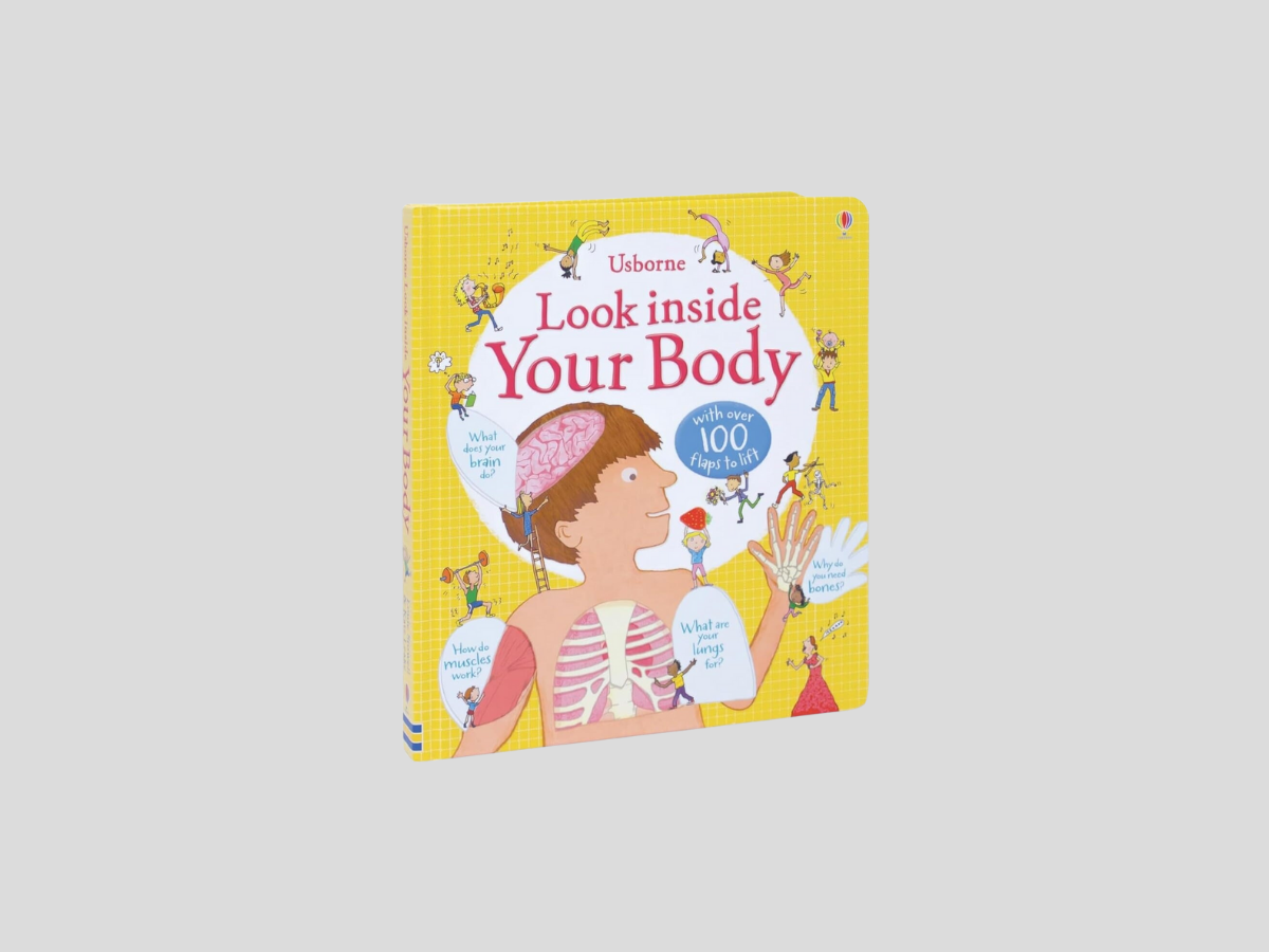 Usborne Lift-The-Flap: Look Inside Your Body by Usborne Publishing Ltd; 9781409549475