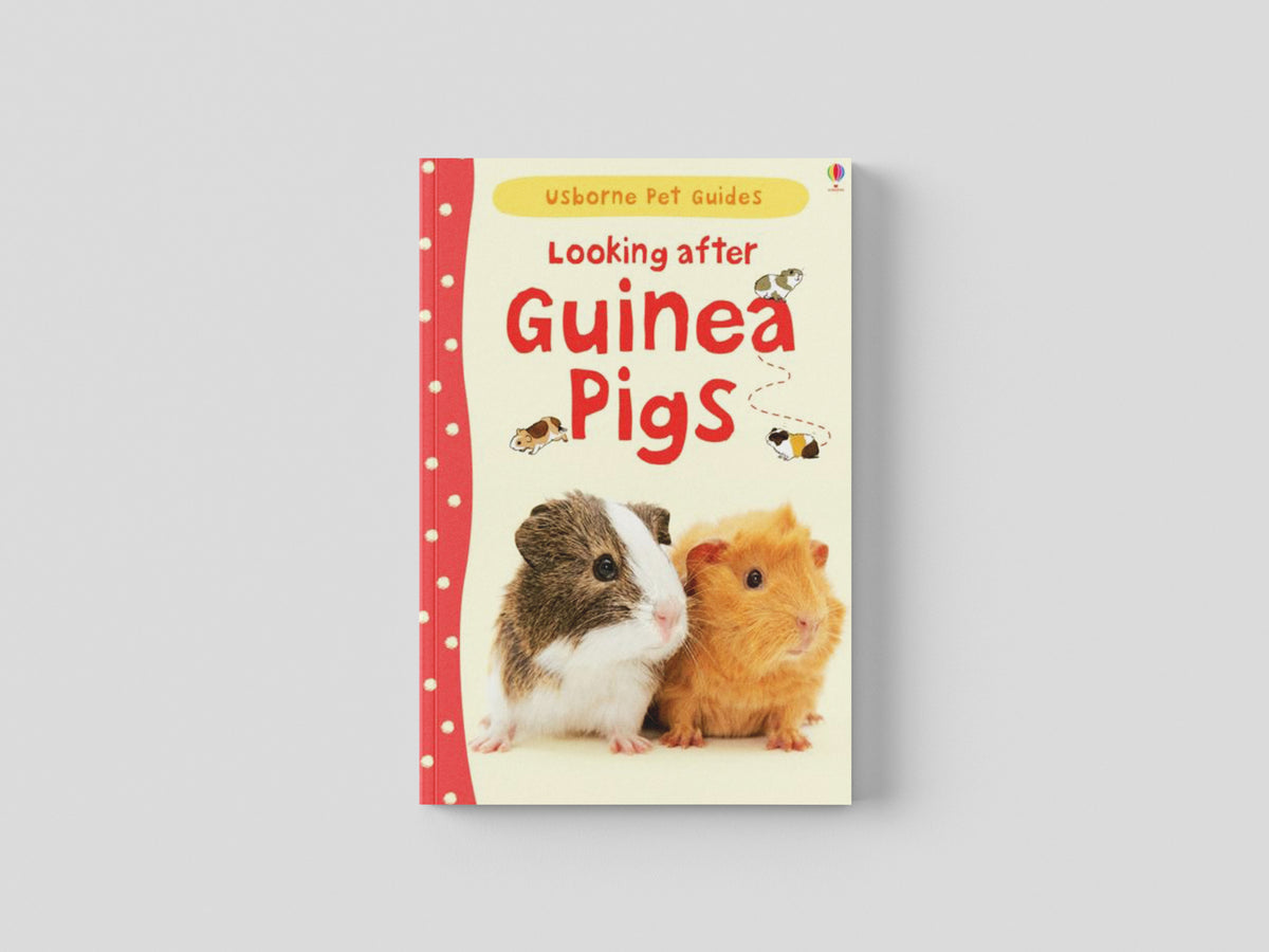 Looking After Guinea Pigs by Usborne Publishing Ltd; 9781409561880