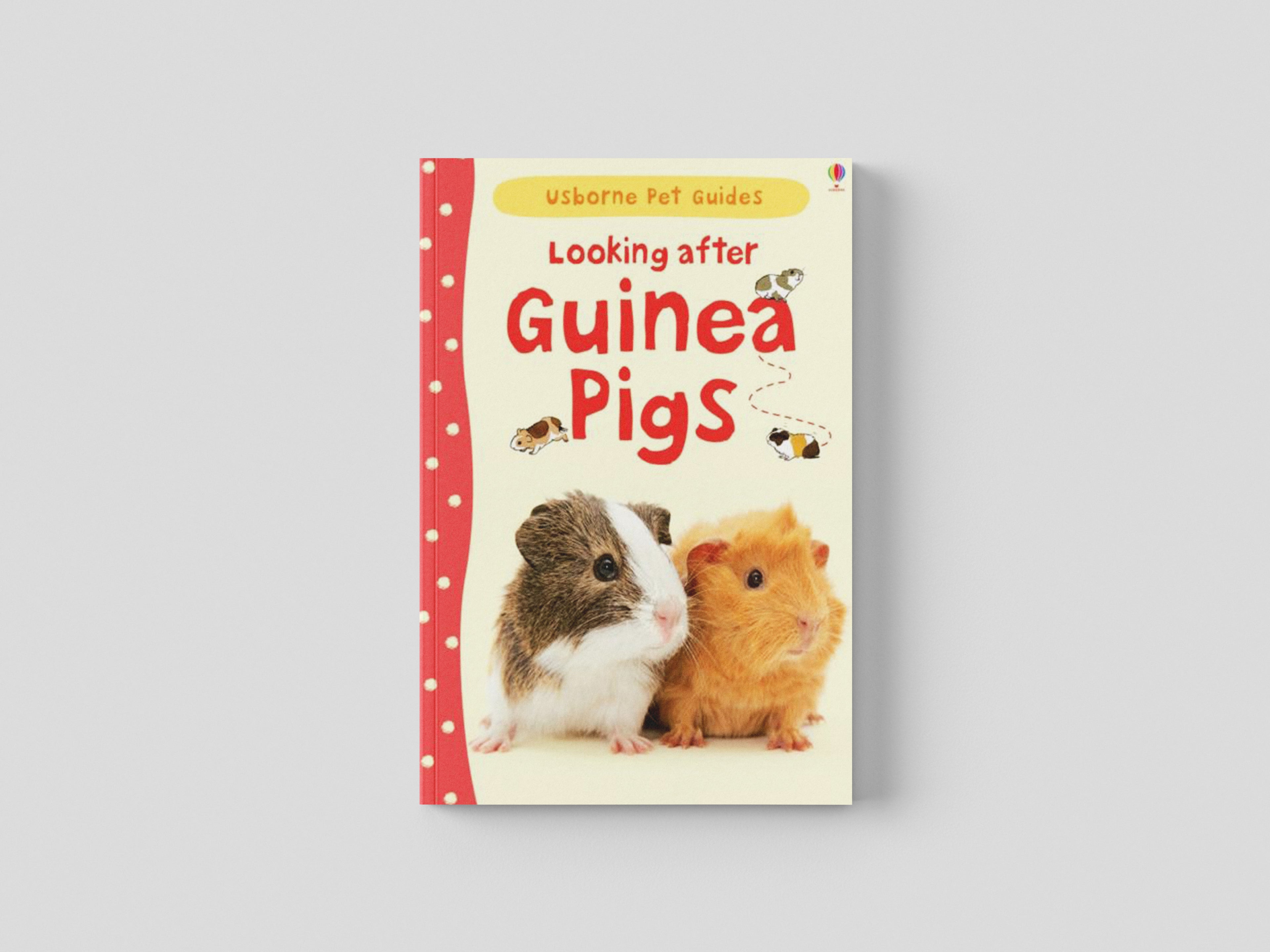 Looking After Guinea Pigs by Usborne Publishing Ltd; 9781409561880