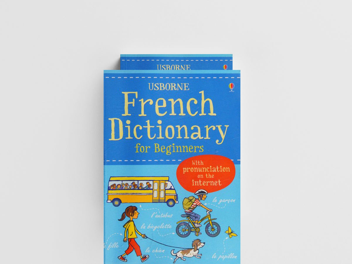French Dictionary for Beginners by Francoise Holmes; Helen Davies; Giovanna Iannaco; 9781409566281