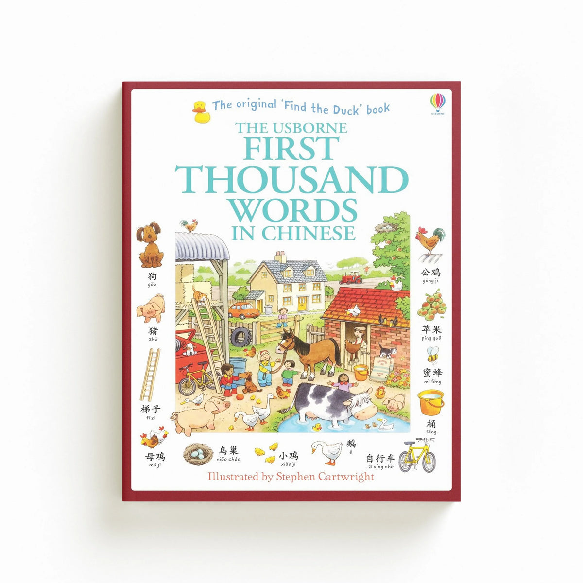 First Thousand Words In Chinese: Illustrated Children Book - Ages 5+ by Usborne Publishing Ltd; 9781409570387