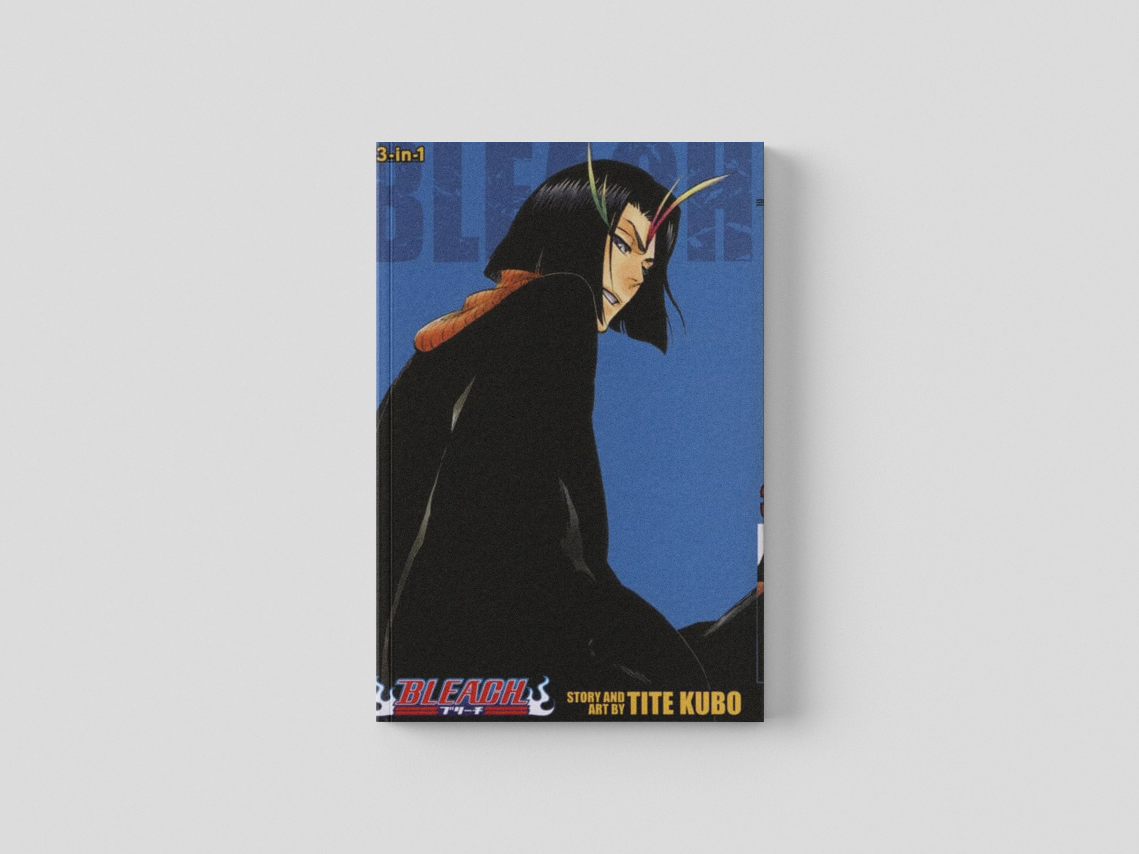 Bleach (3-in-1 Edition), Vol. 13 by Tite Kubo; 9781421582108