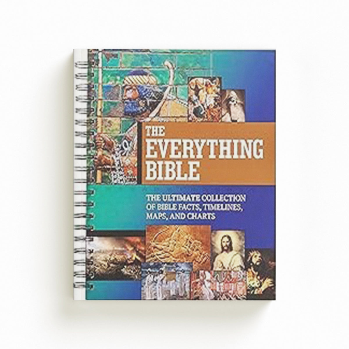 The Everything Bible by Broadstreet Publishing Group LLC; 9781424569380