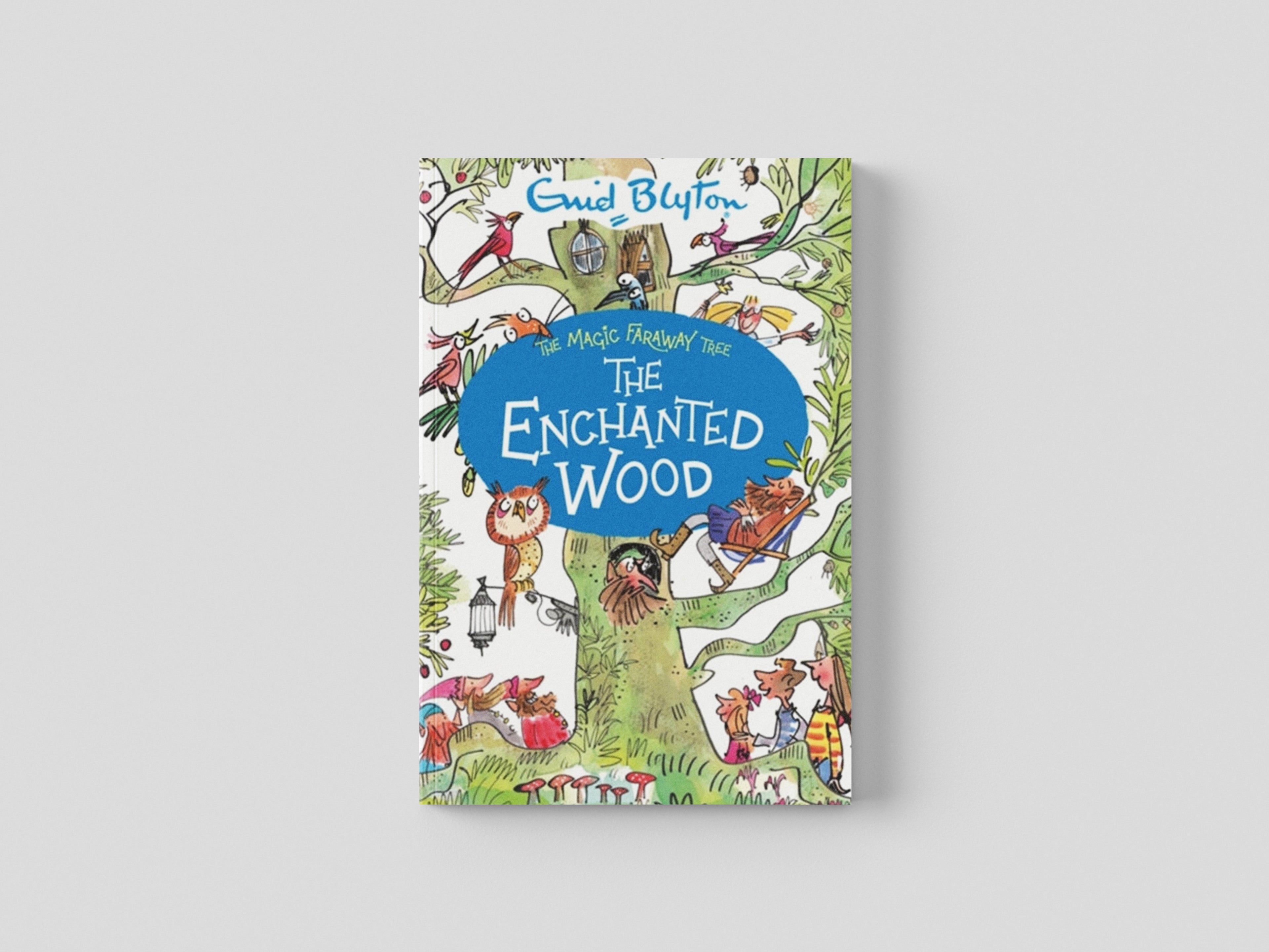 The Magic Faraway Tree: The Enchanted Wood by Enid Blyton; 9781444959451