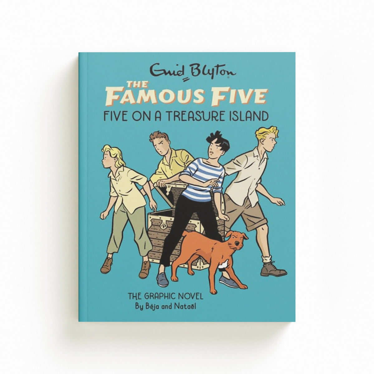Famous Five Graphic Novel: Five on a Treasure Island