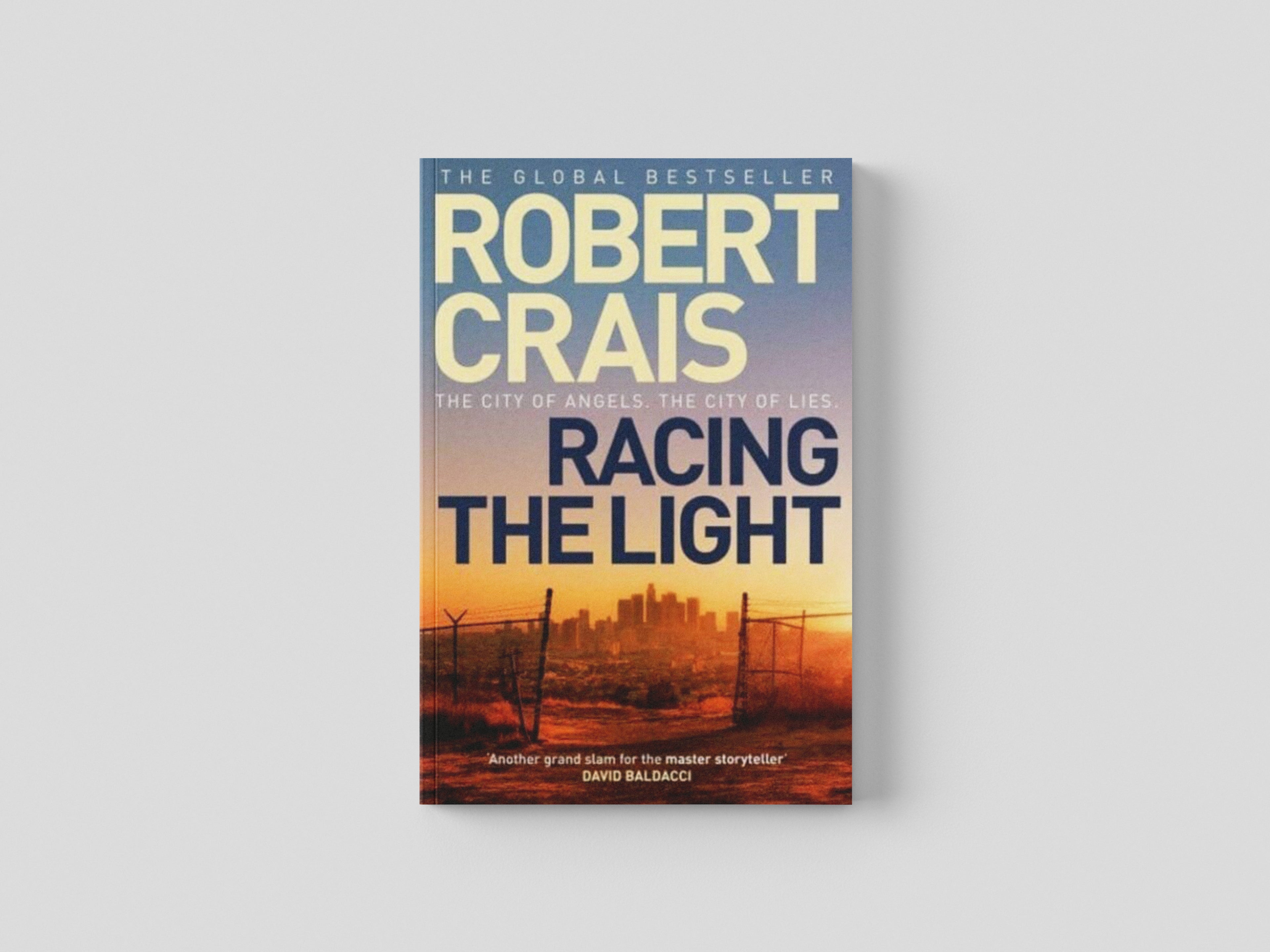 Racing the Light Paperback / softback