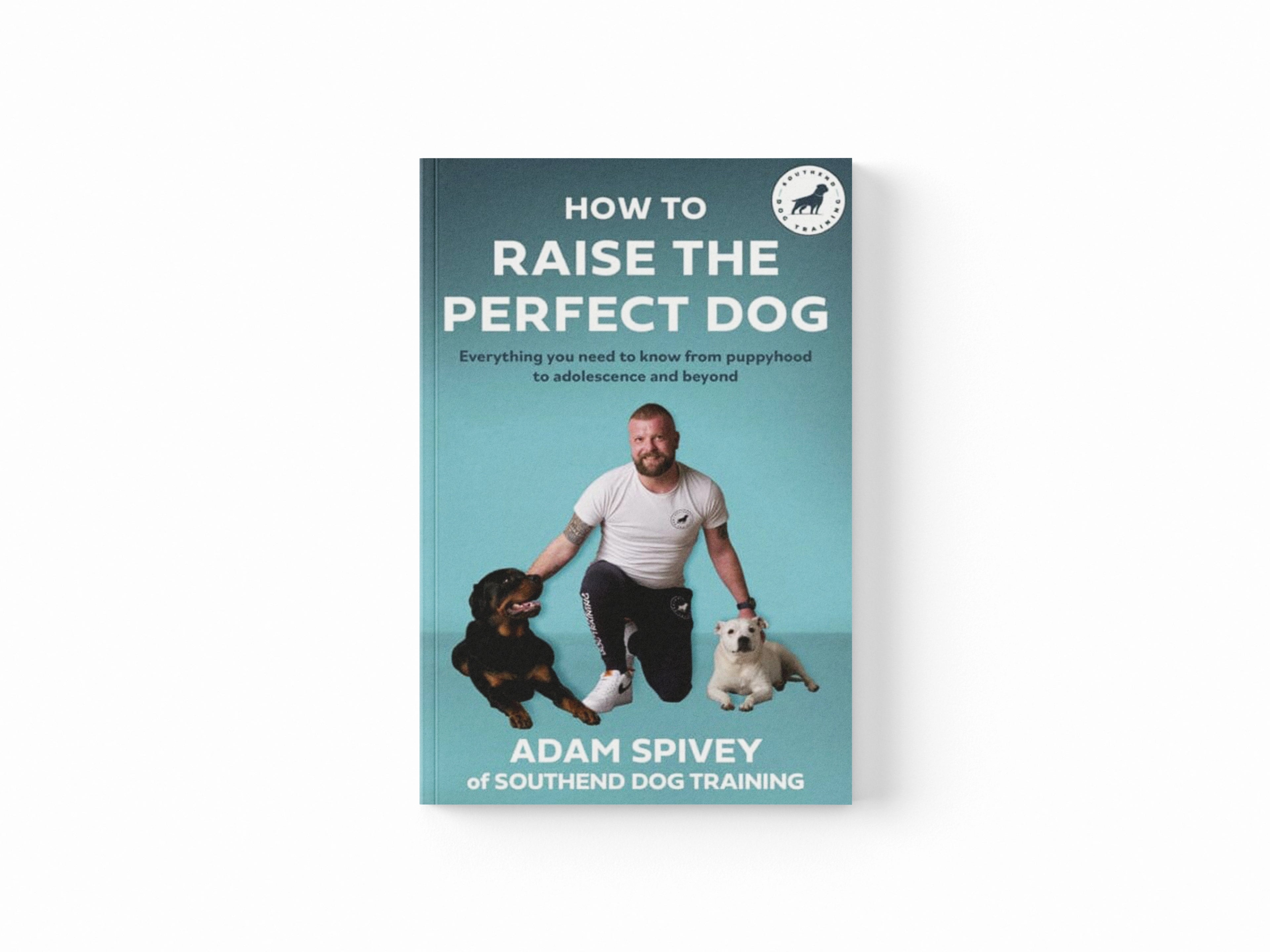 How to Raise the Perfect Dog
