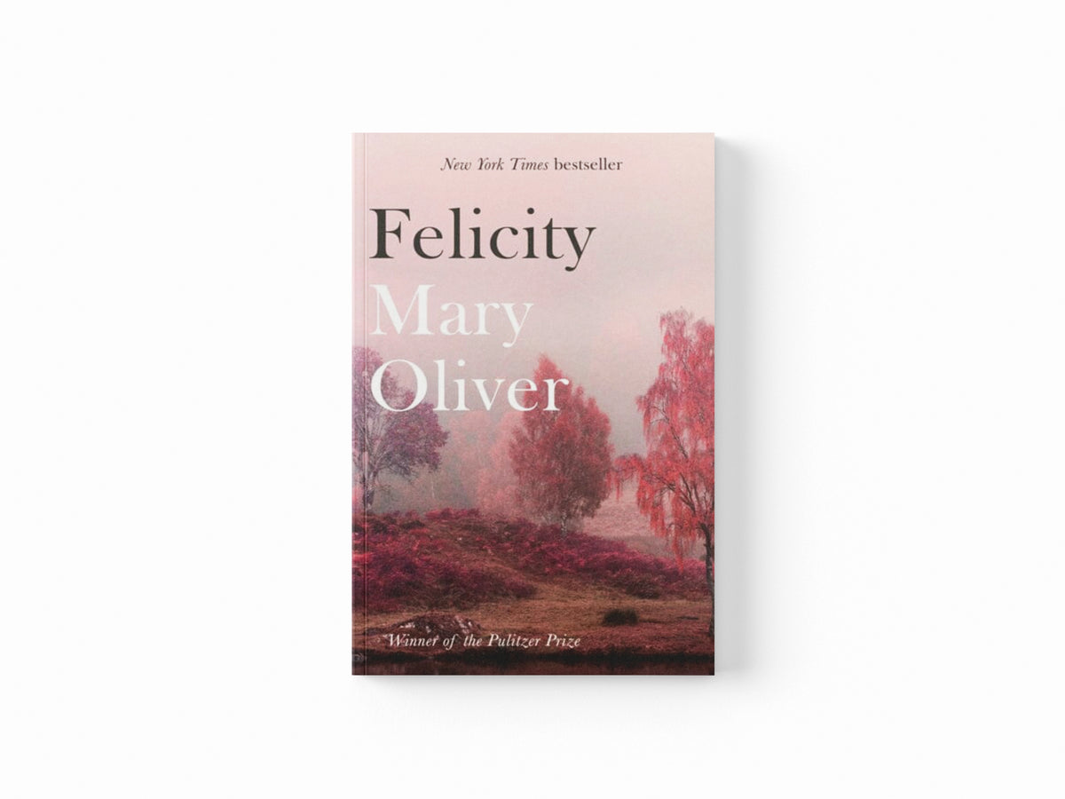 Felicity Paperback / softback