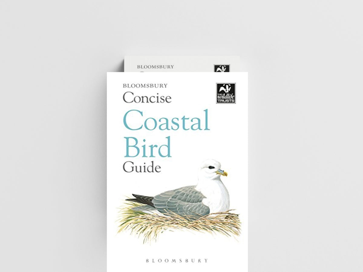 Concise Coastal Bird Guide; 9781472963819