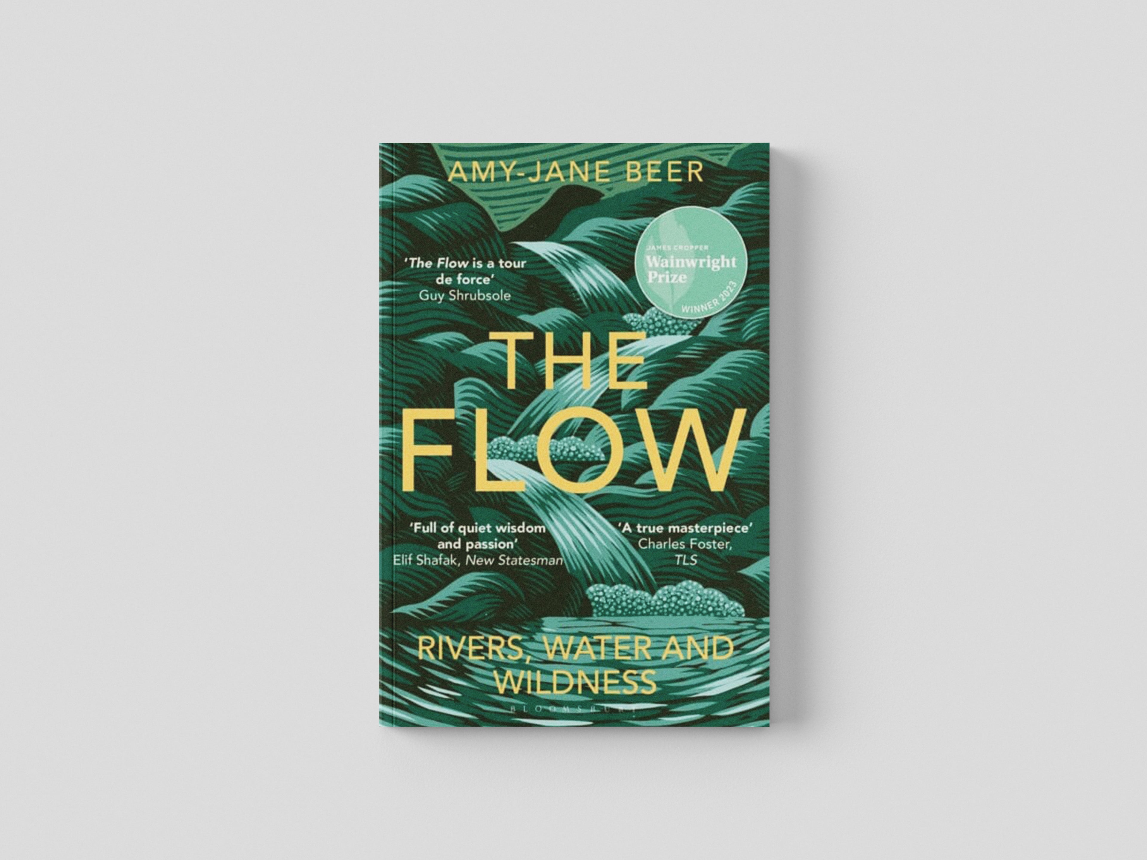 The Flow by Amy-Jane Beer; 9781472977403