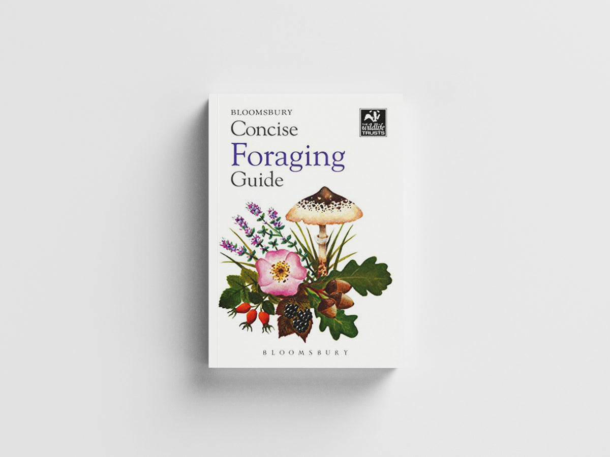 Concise Foraging Guide by Tiffany Francis-Baker; 9781472984746