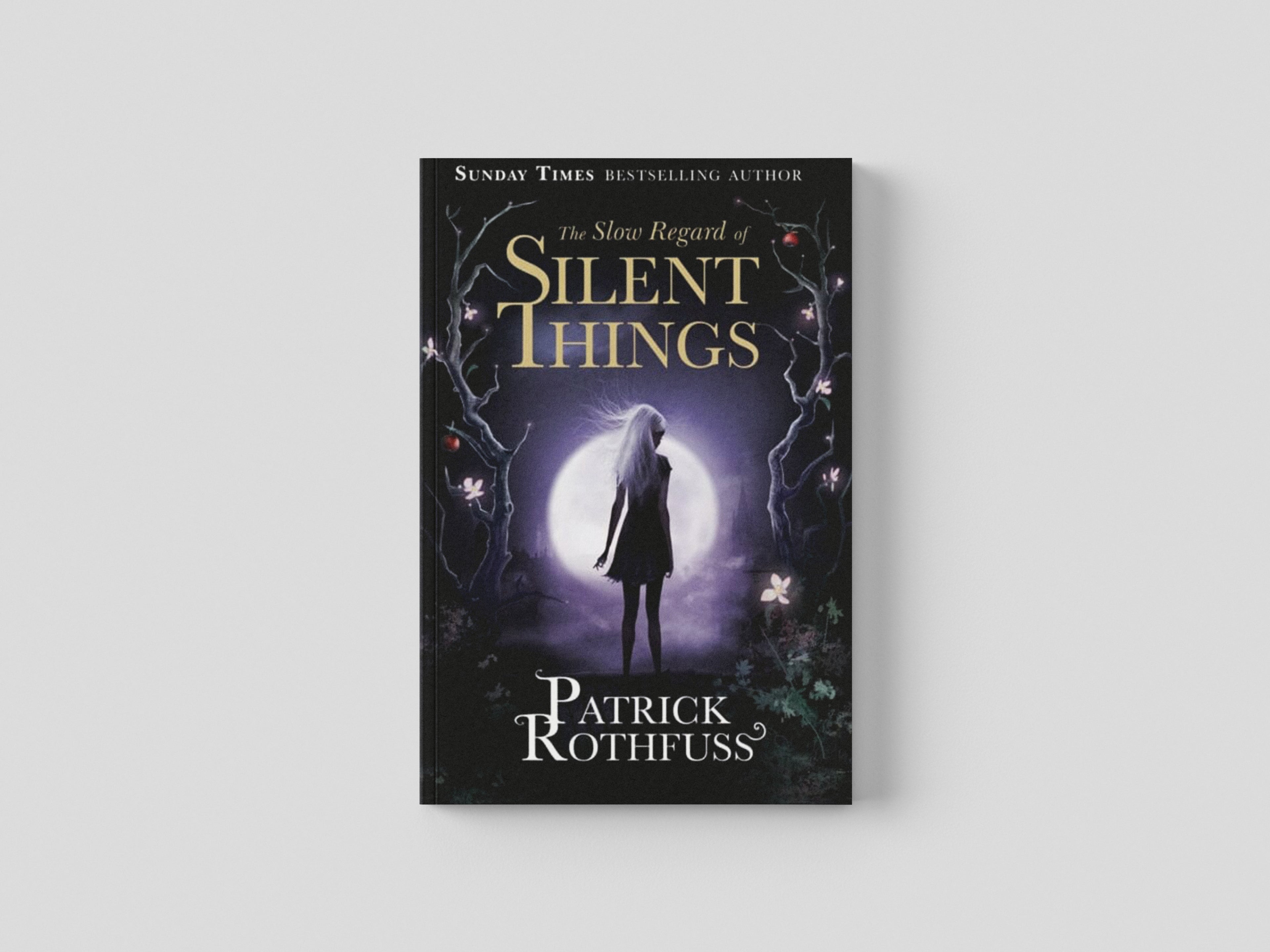 The Slow Regard of Silent Things by Orion Publishing Co; 9781473209336