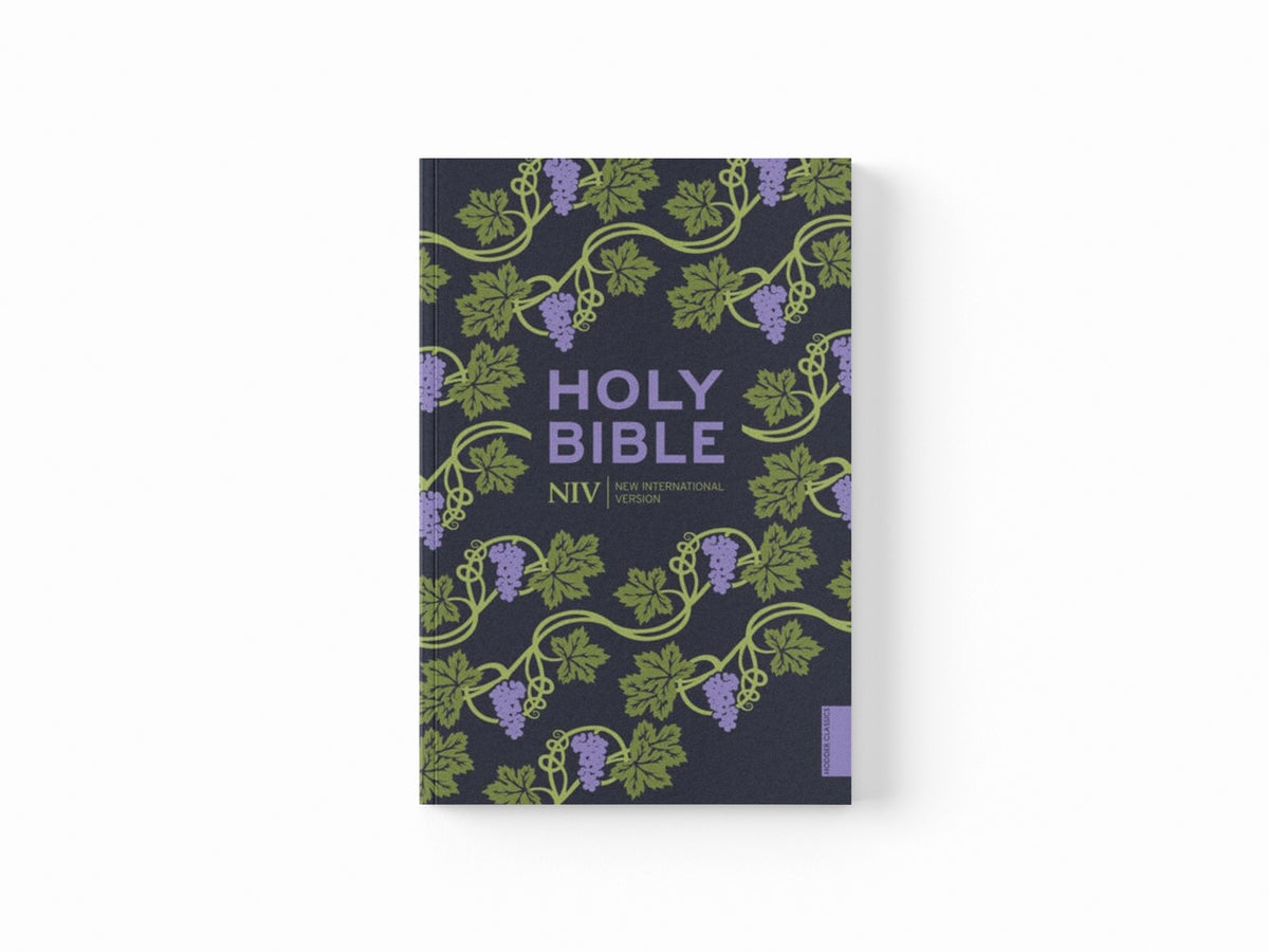 NIV Holy Bible (Hodder Classics)