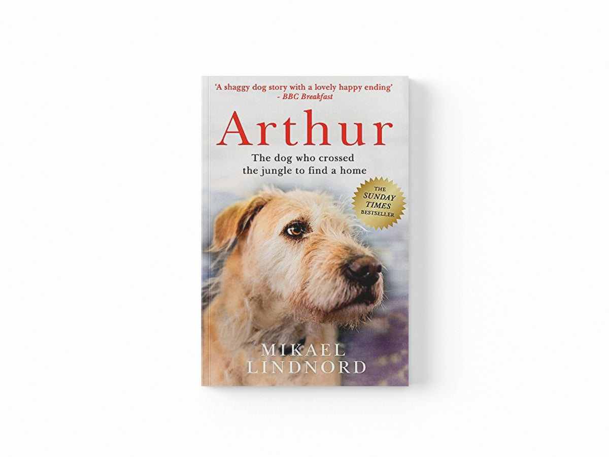 Arthur the King by Mikael Lindnord; 9781473625266