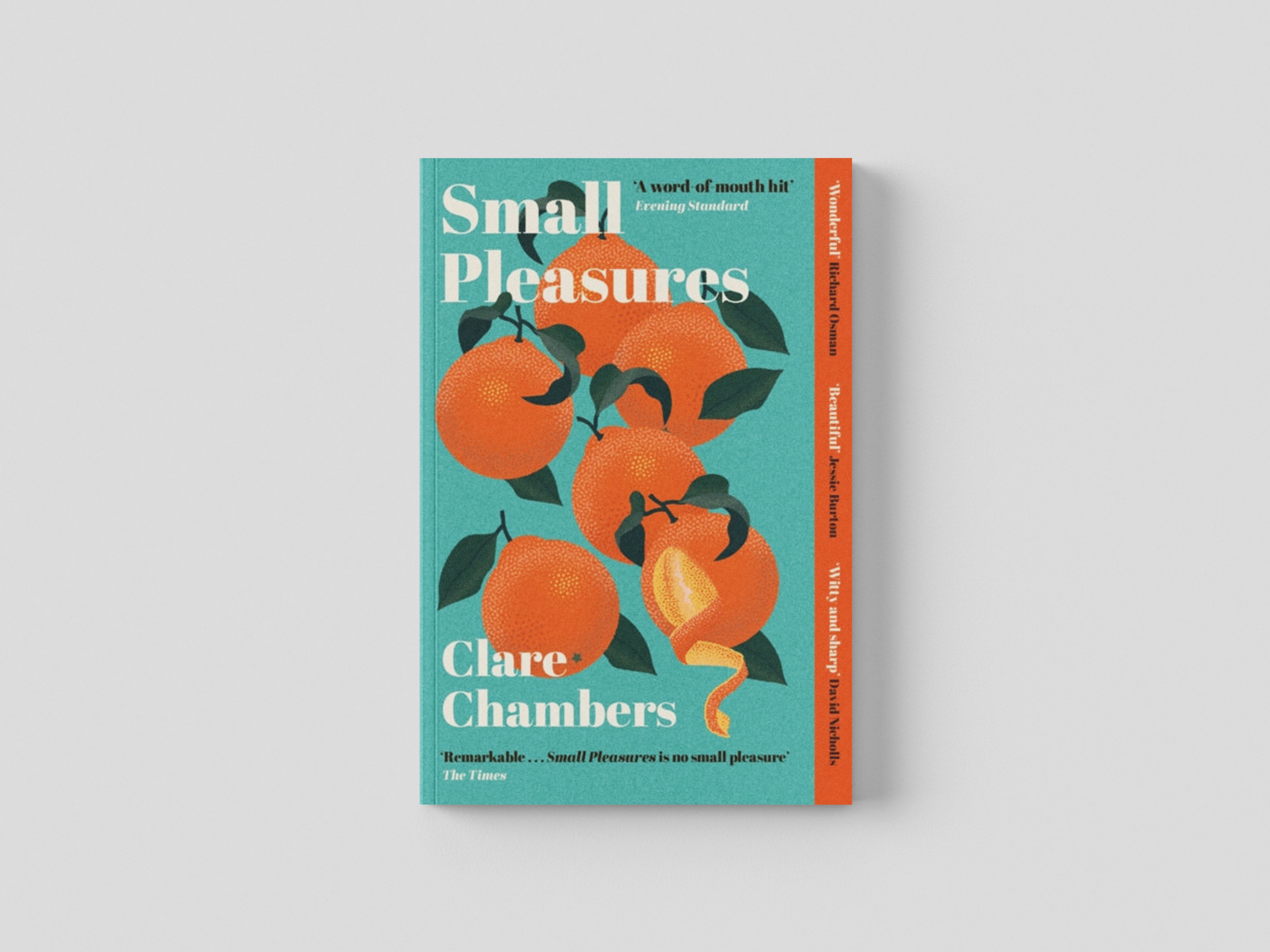 Small Pleasures by Clare Chambers; 9781474613903