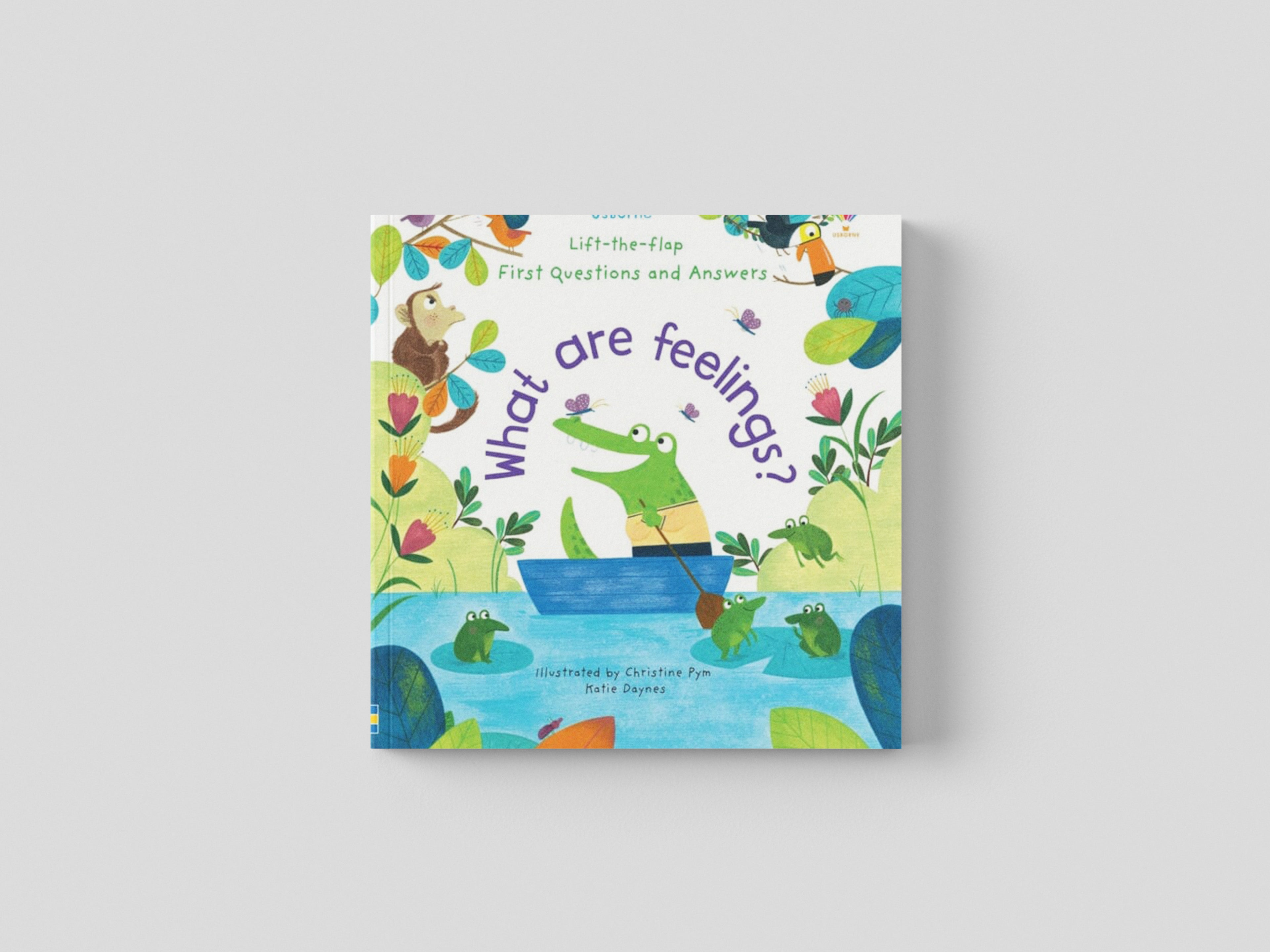 First Questions and Answers: What are Feelings?